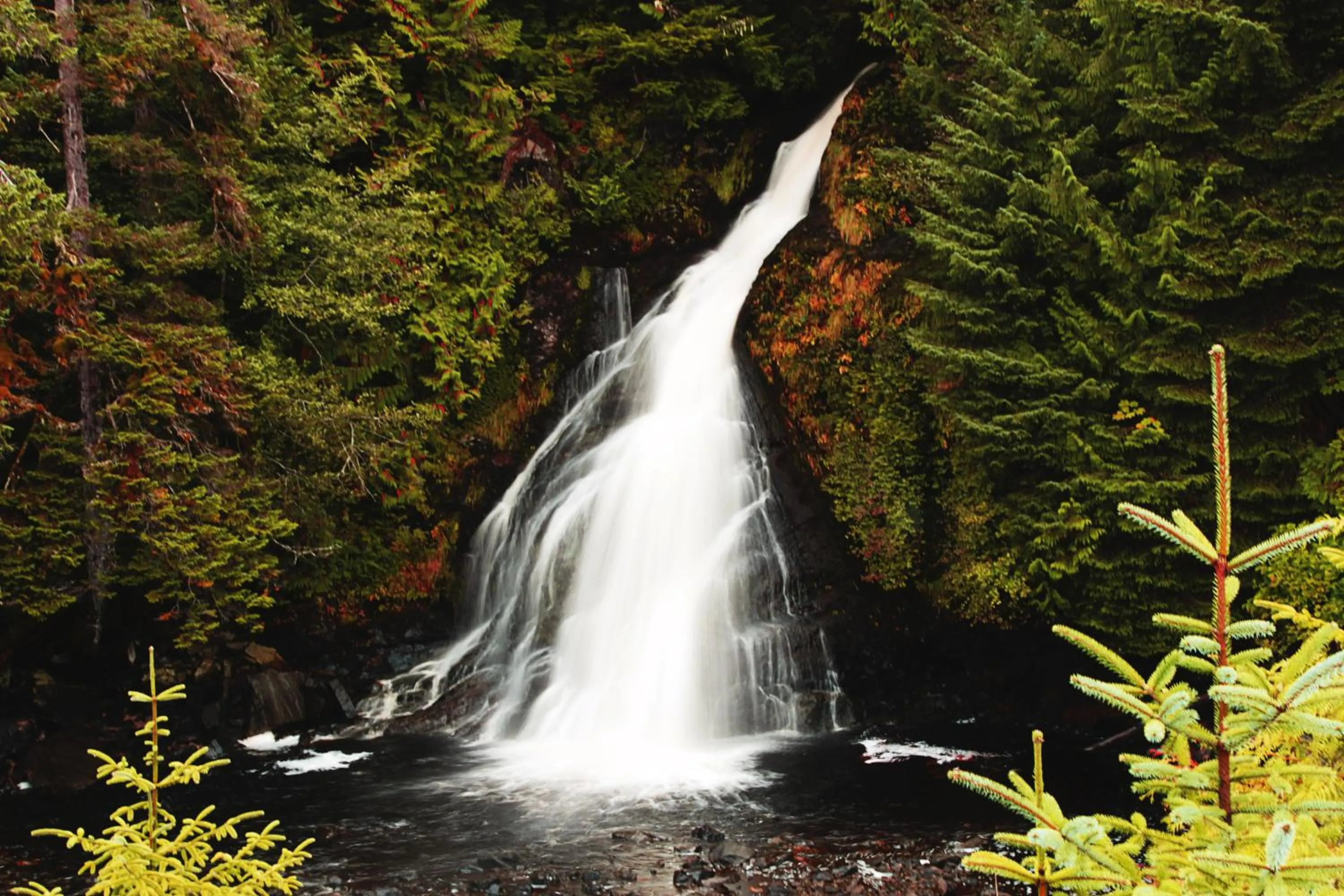 Natural landscape in Salmon Falls Resort