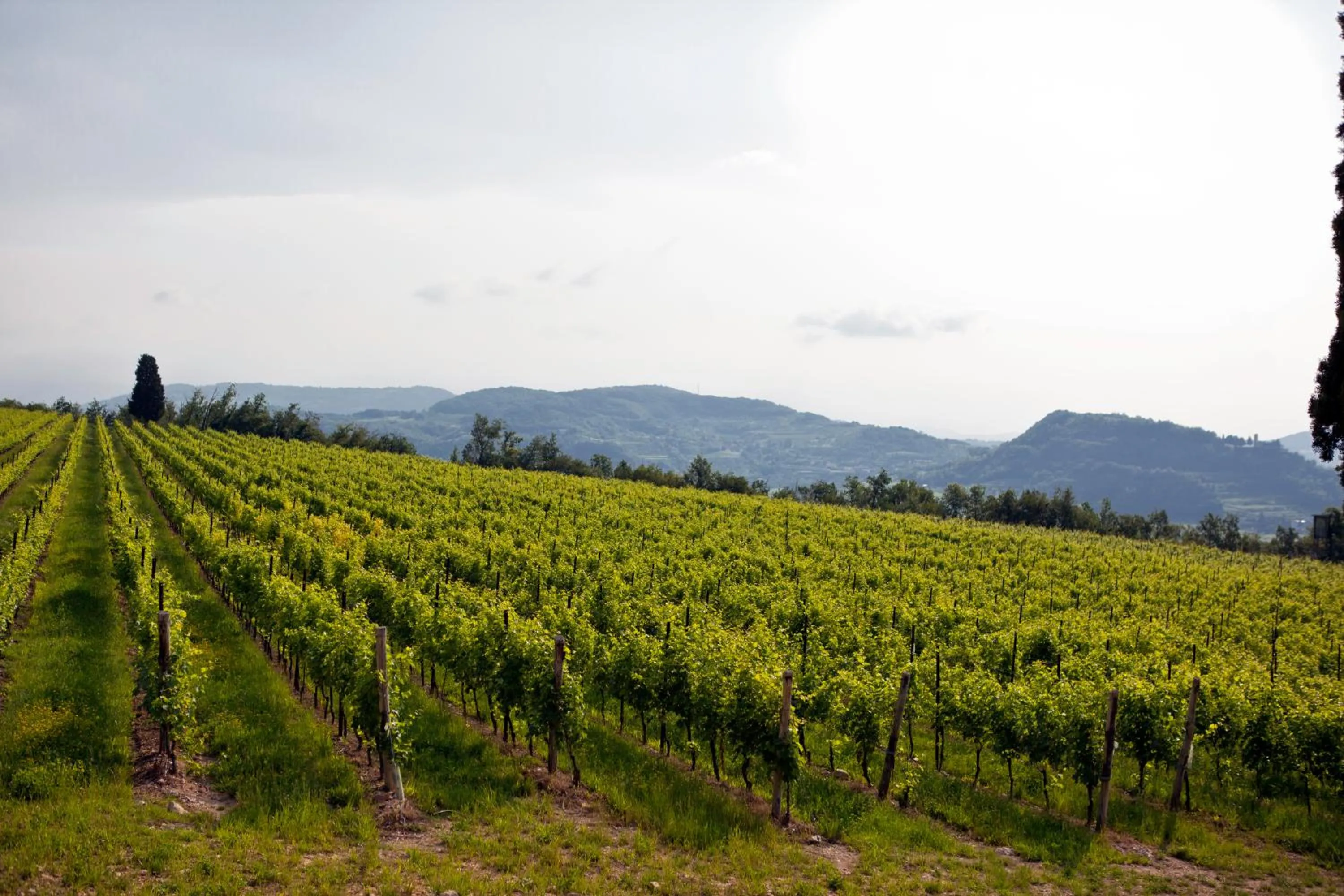 Natural landscape in B&B Le Corone