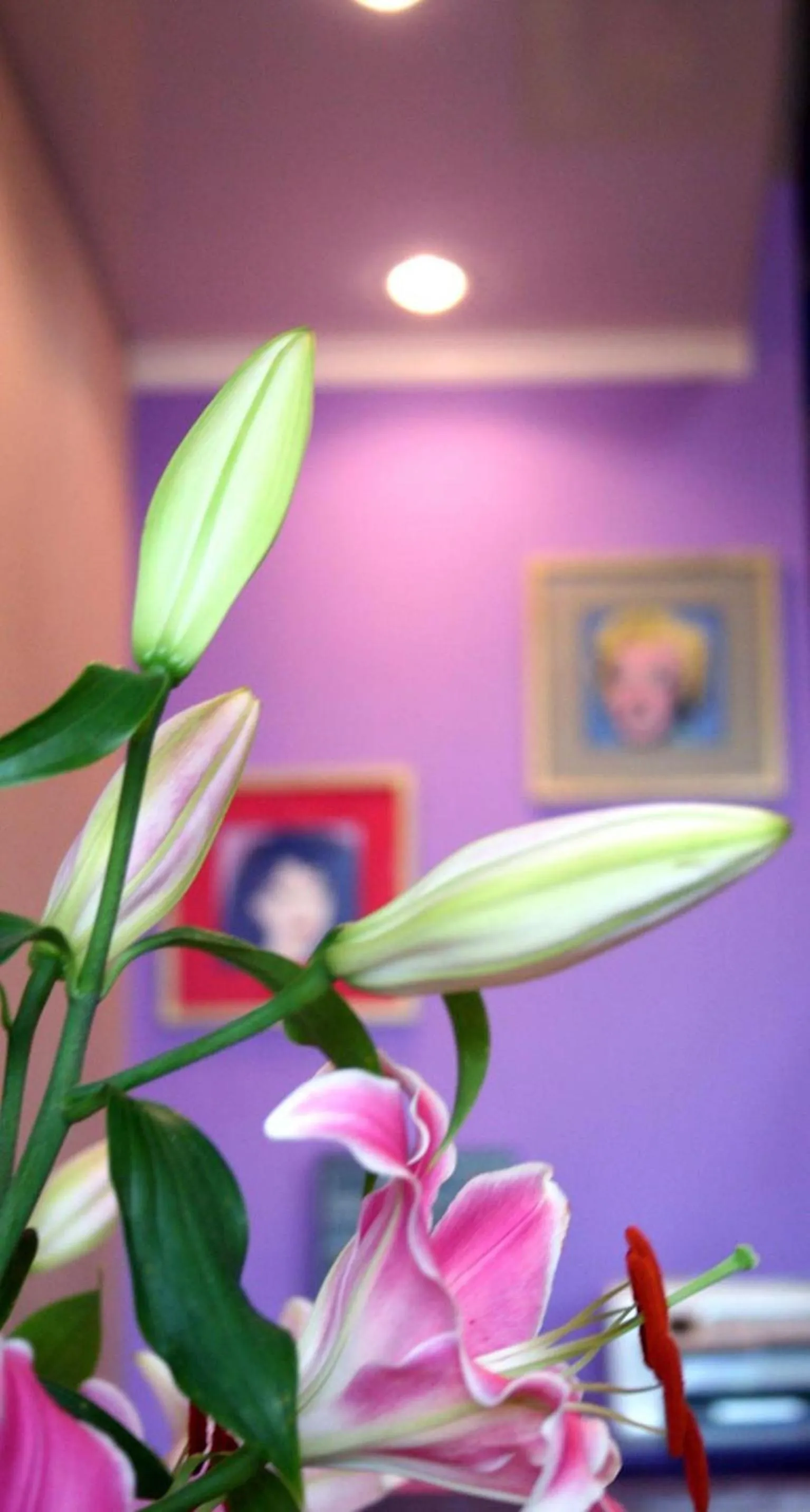 Lobby or reception in Hotel Amiraute