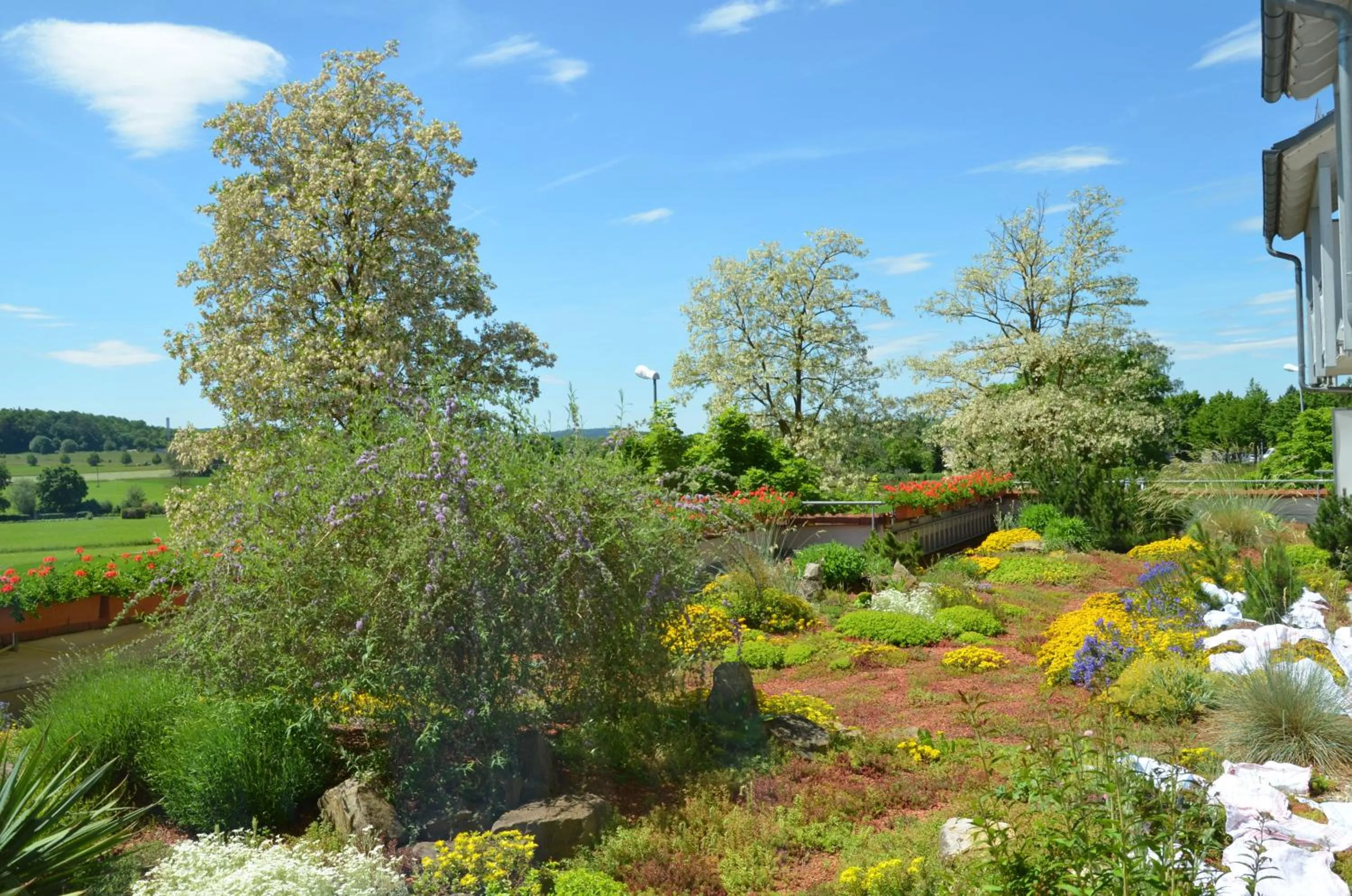 Balcony/Terrace in Hotel Landhaus Feckl