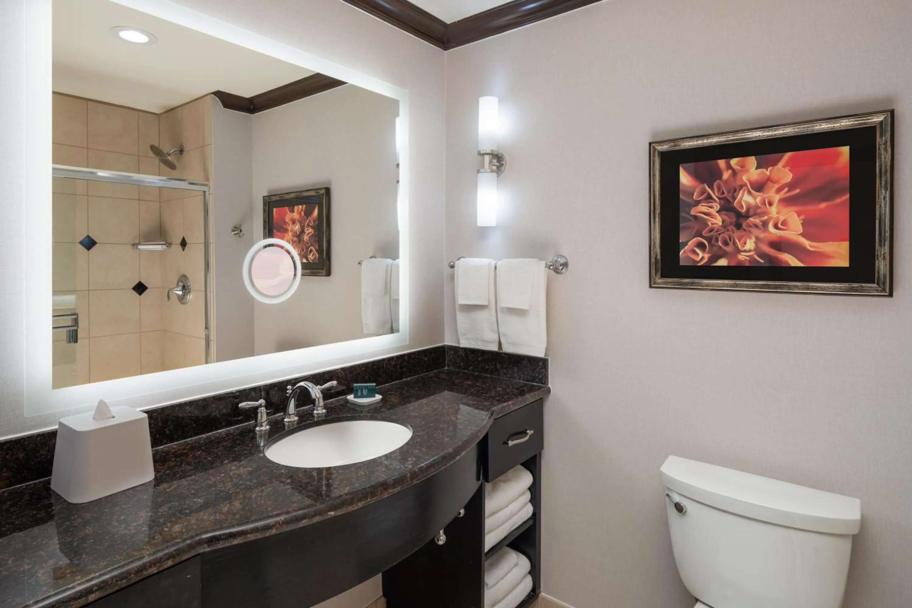 Hilton Dallas/Rockwall Lakefront Hotel