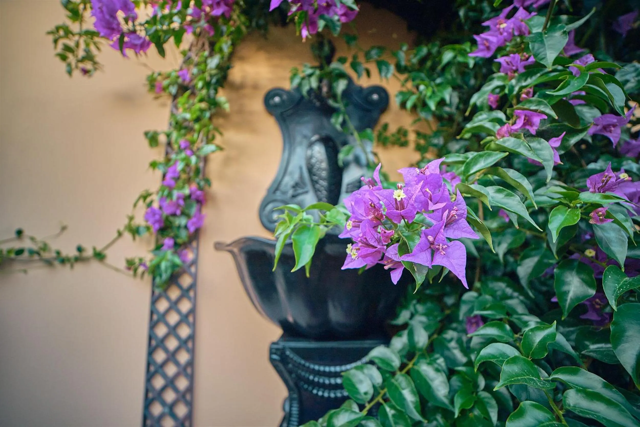 Garden in Silver Coast Beach Residence