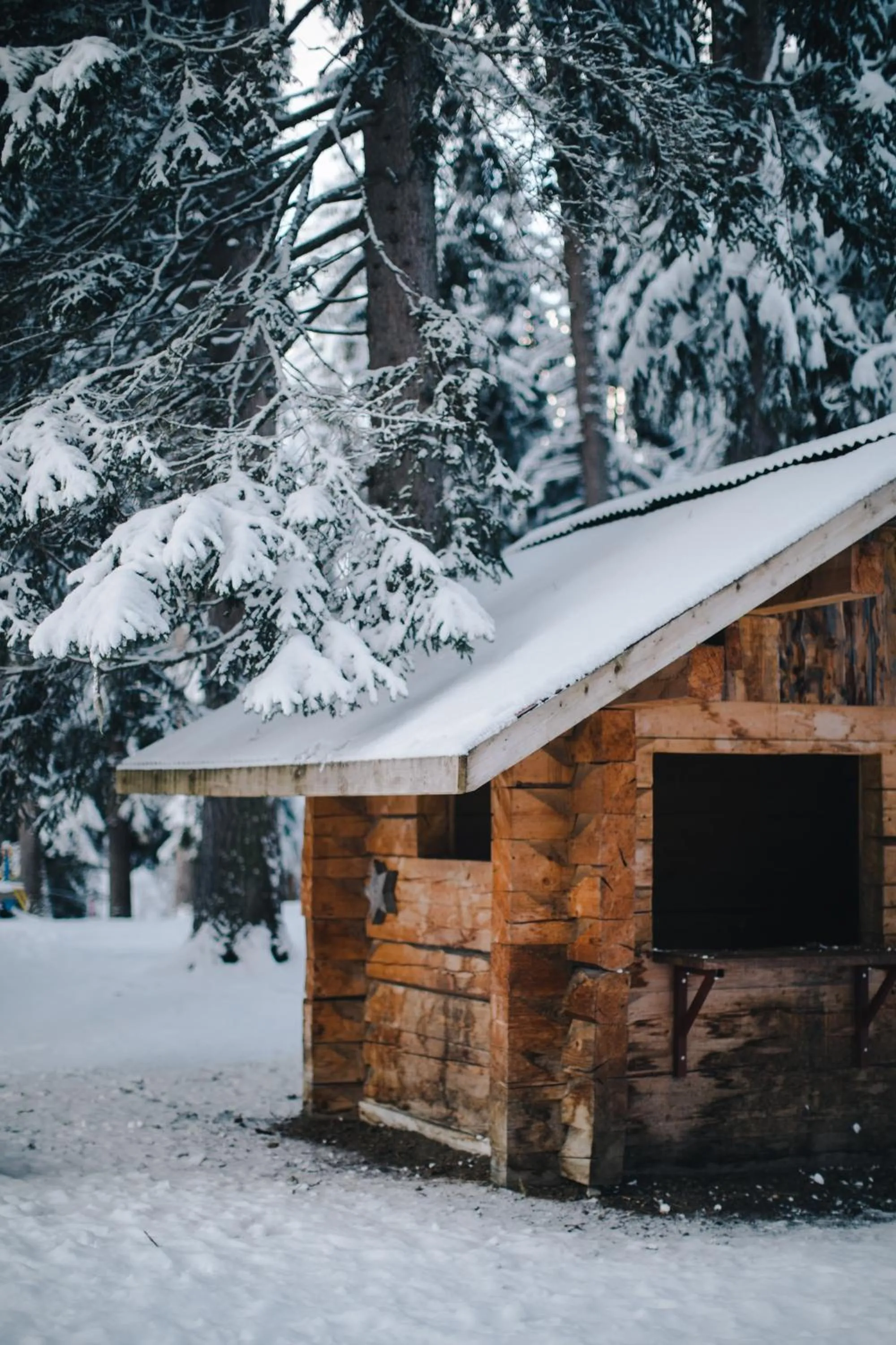 Winter in Hotel Schweizerhof Lenzerheide