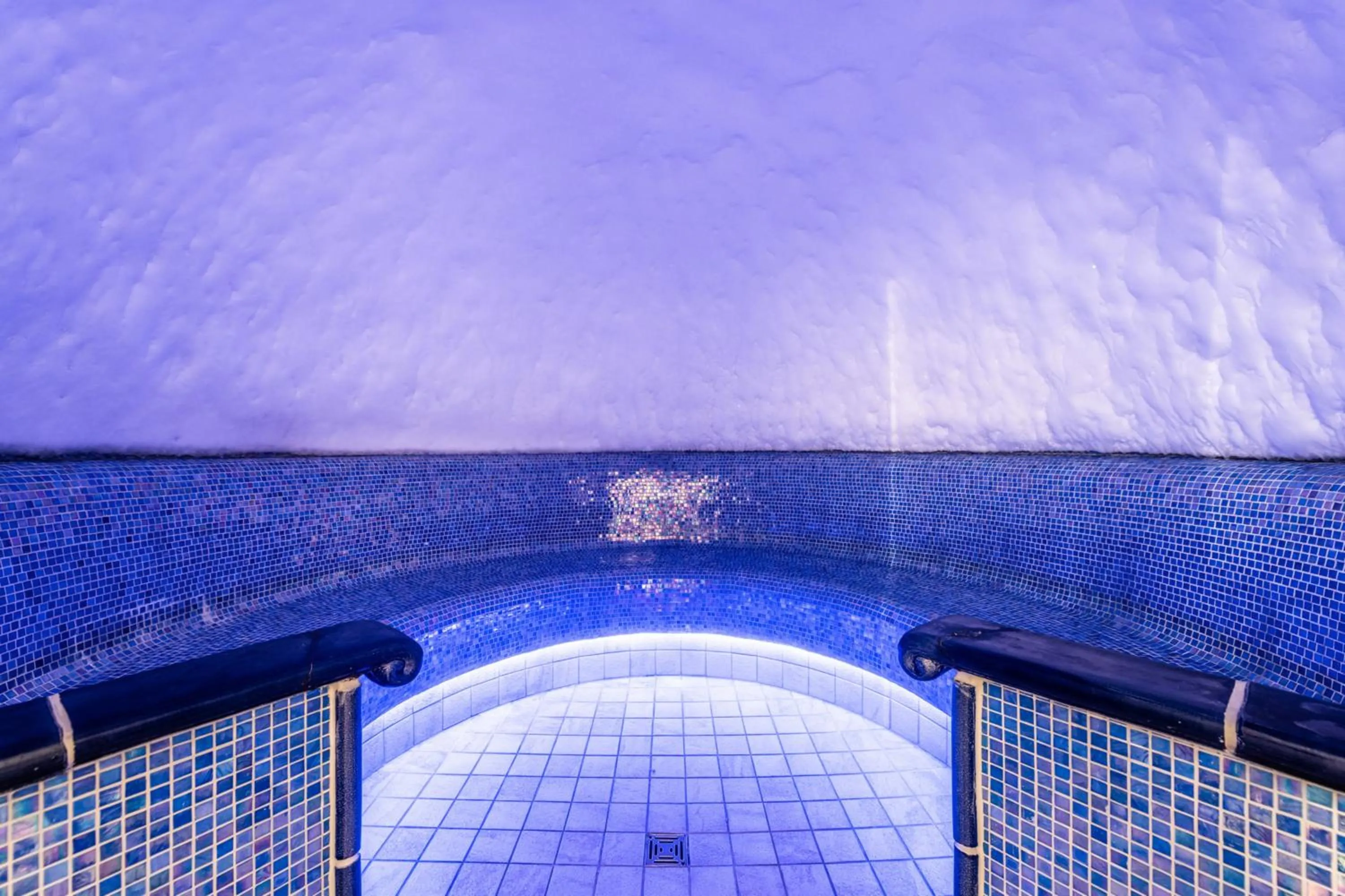 Steam room in Hotel Lenzerhorn - Alpine Stay, Spa & Savour