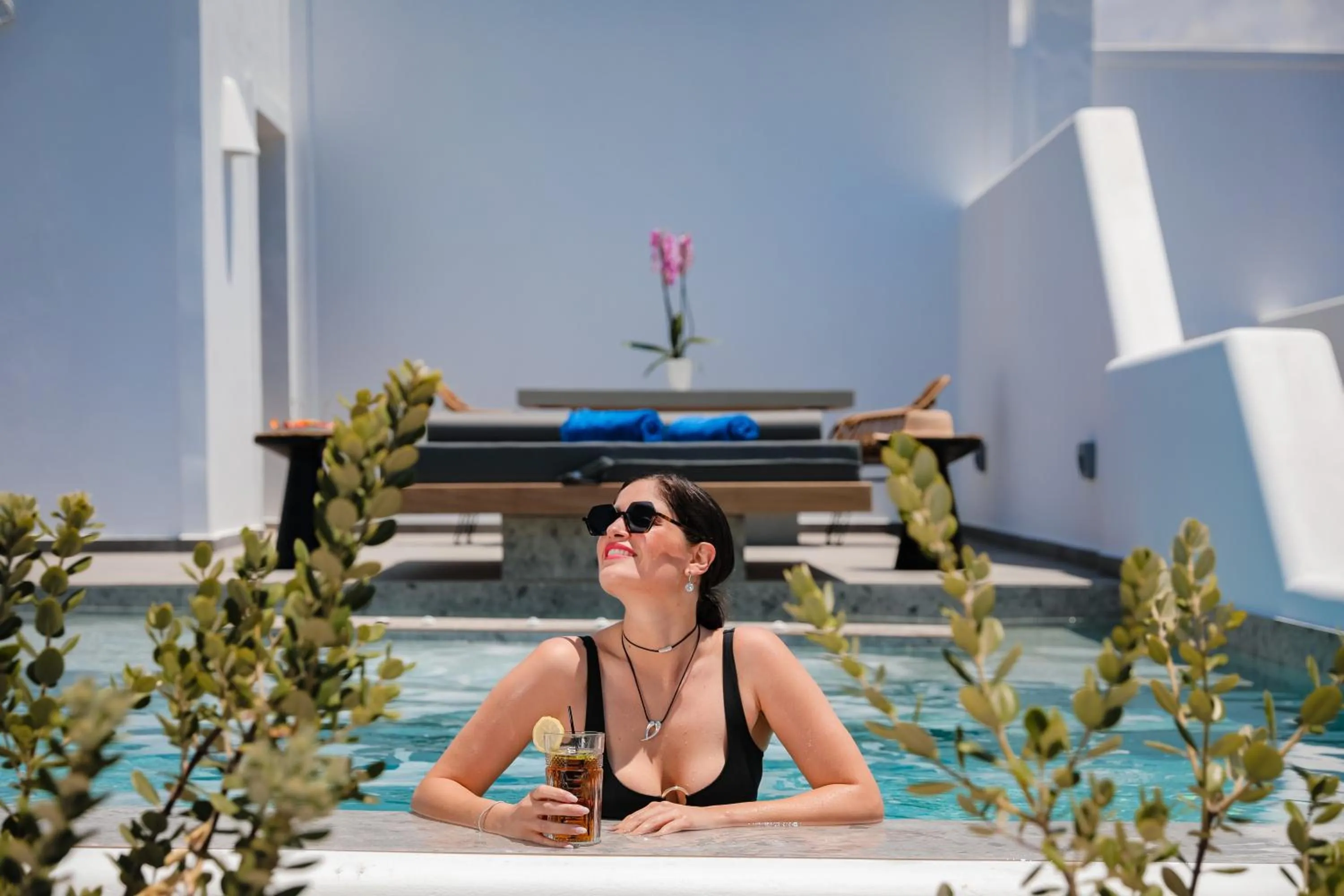 Day in Vineyard Exclusive Suites