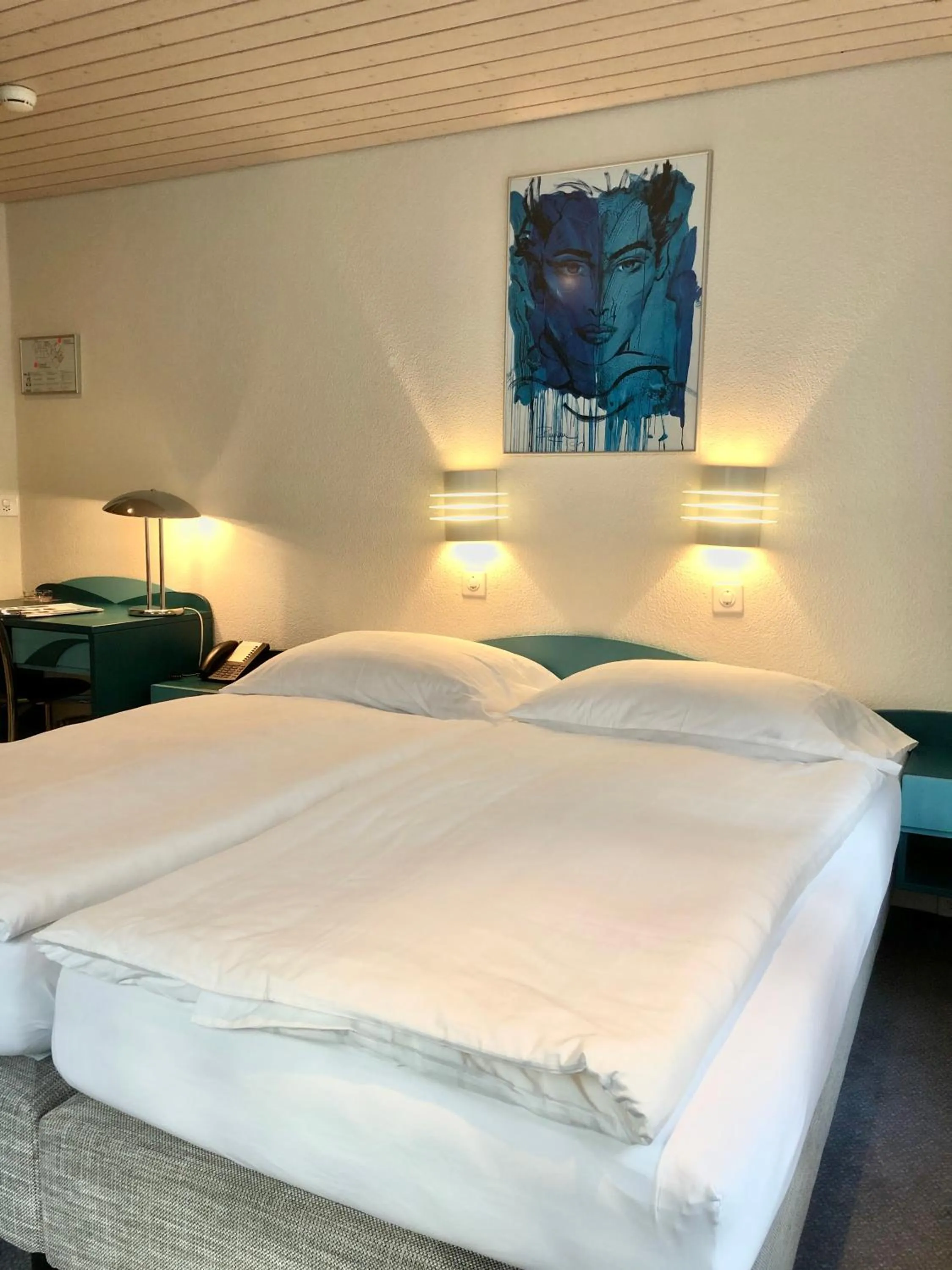 Budget Double Room Without view in Hotel Châlet Du Lac