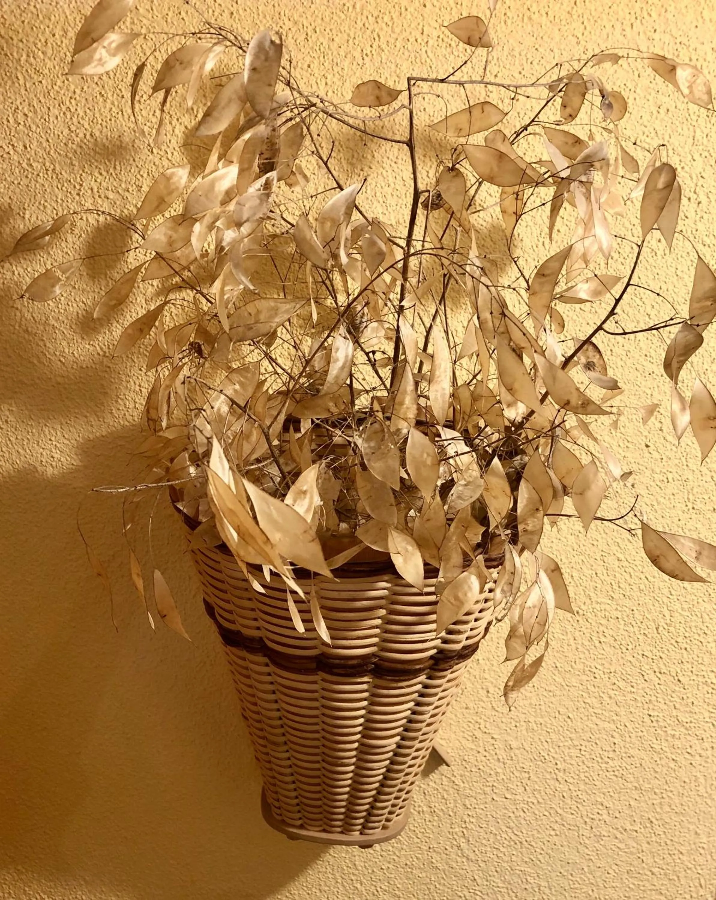 Area and facilities in Hotel Châlet Du Lac