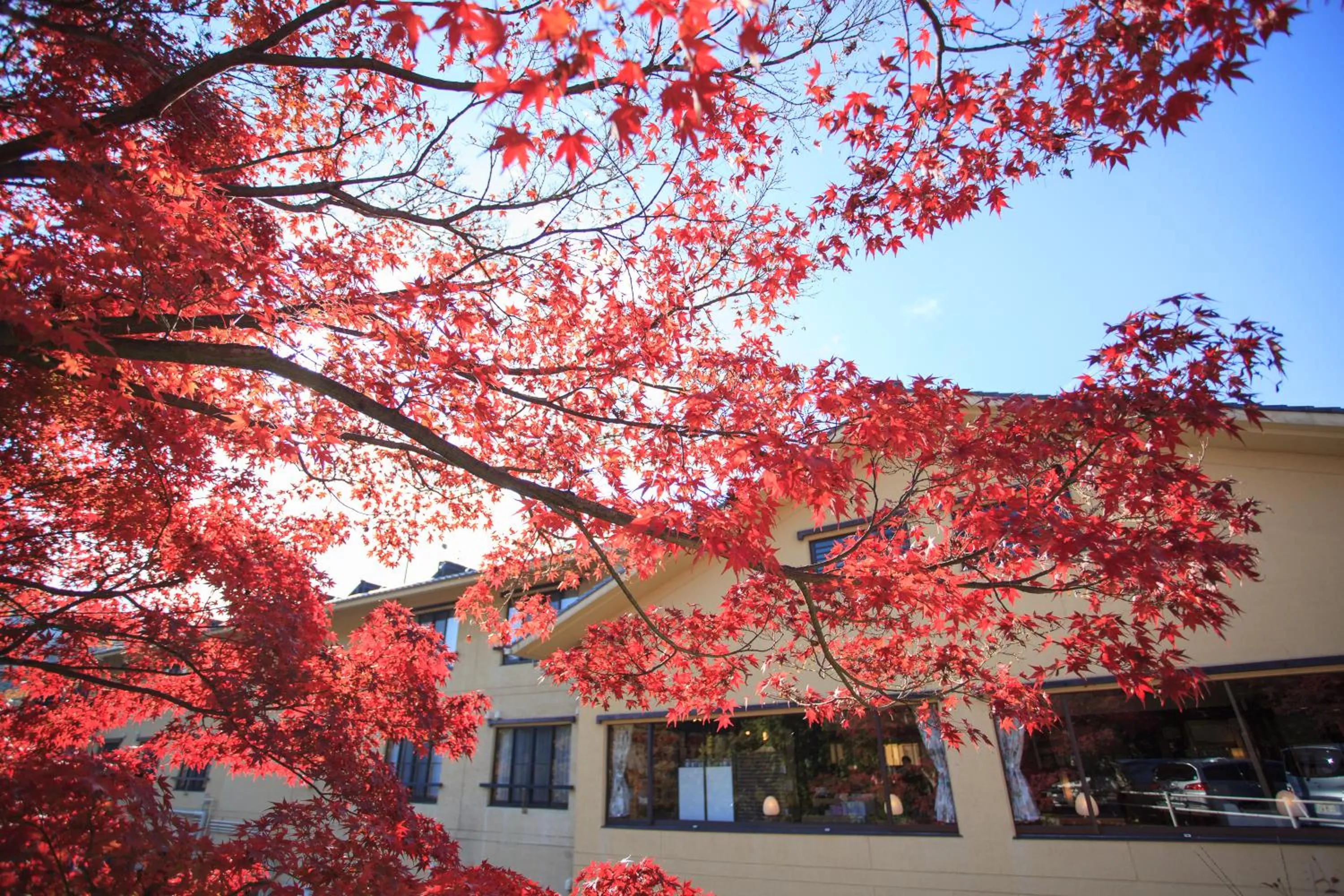 Property building in Okutamaji