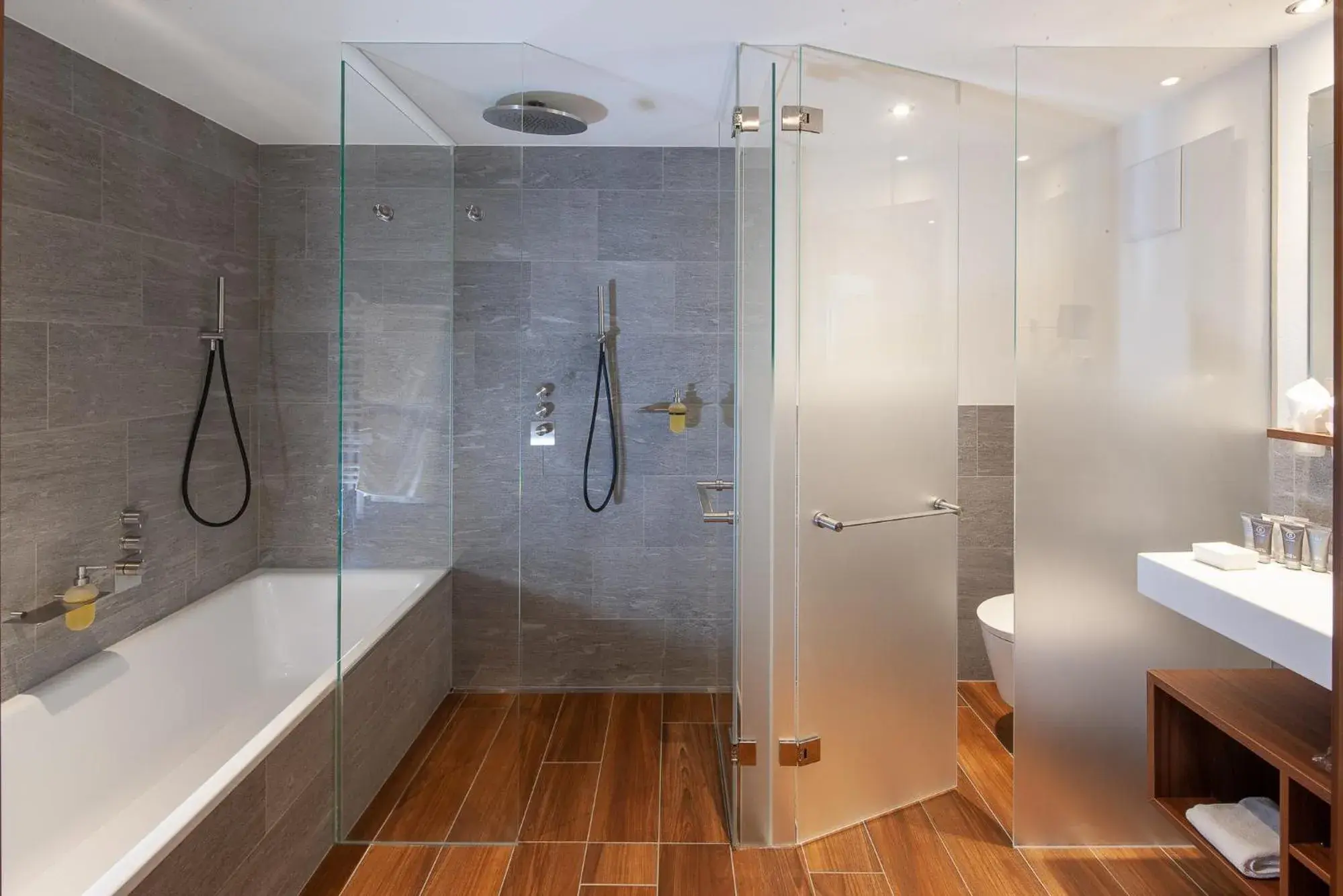 Suite - single occupancy in Hotel Sonne Suite - single occupancy in Hotel Sonne