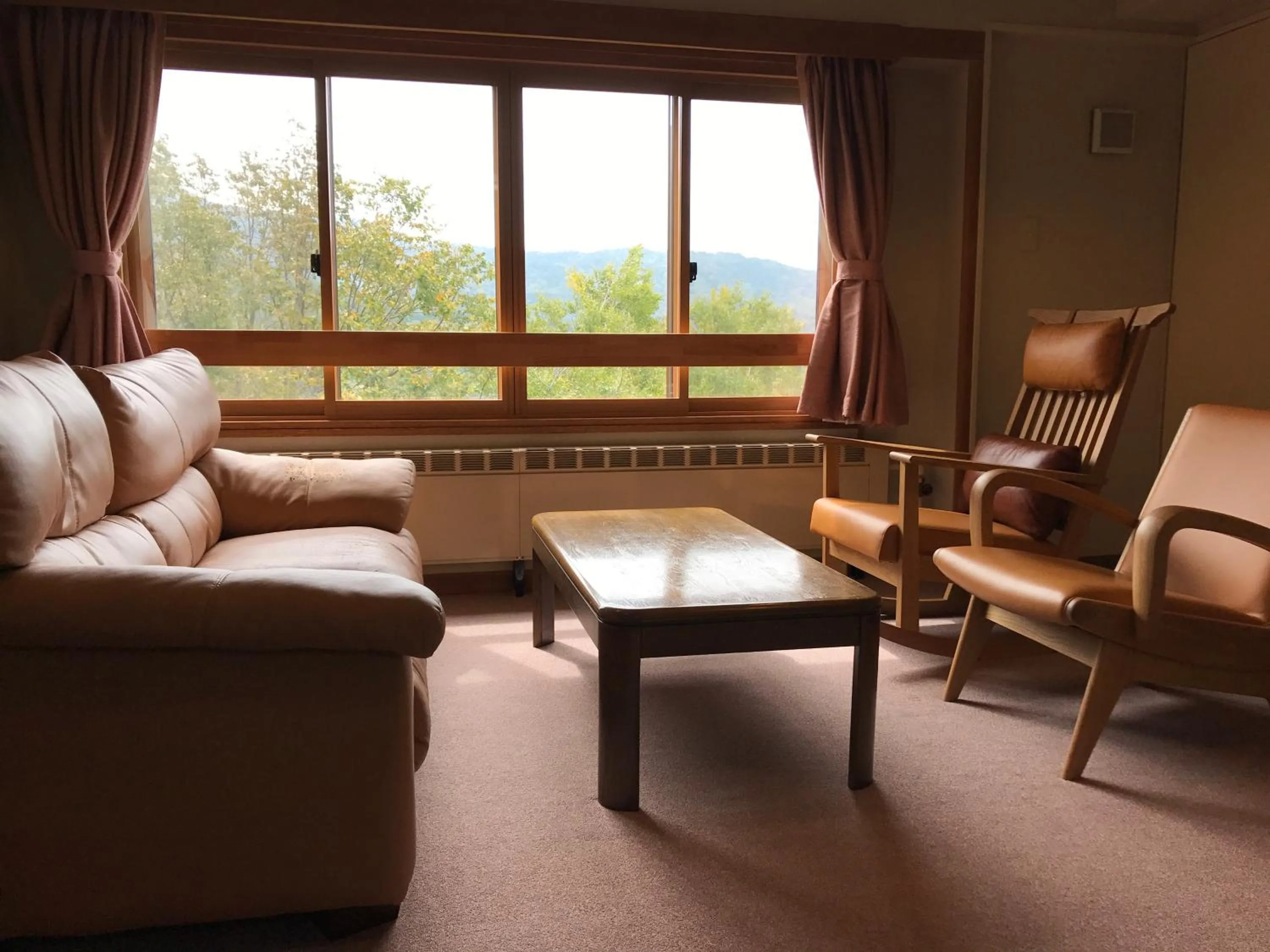 Photo of the whole room in Hotel Higashidate