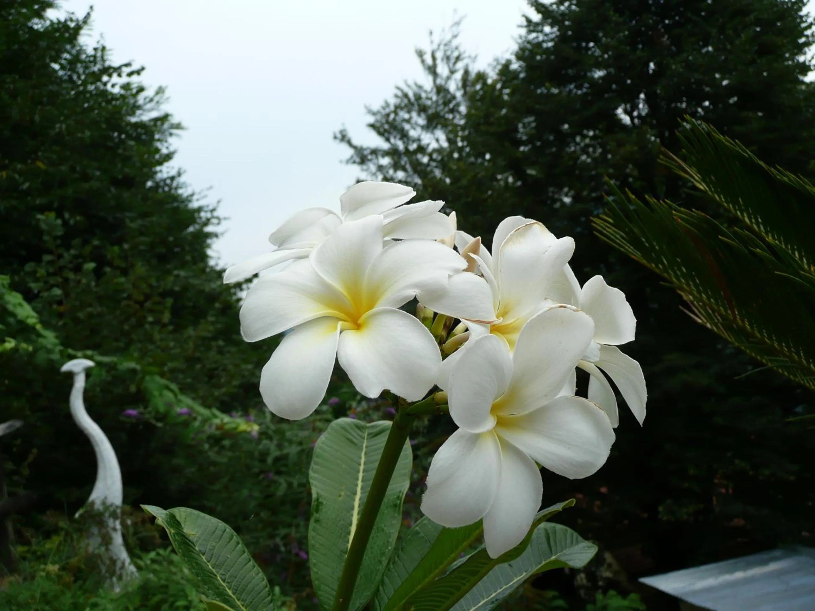 Decorative detail in Eco Hotel Locanda del Giglio
