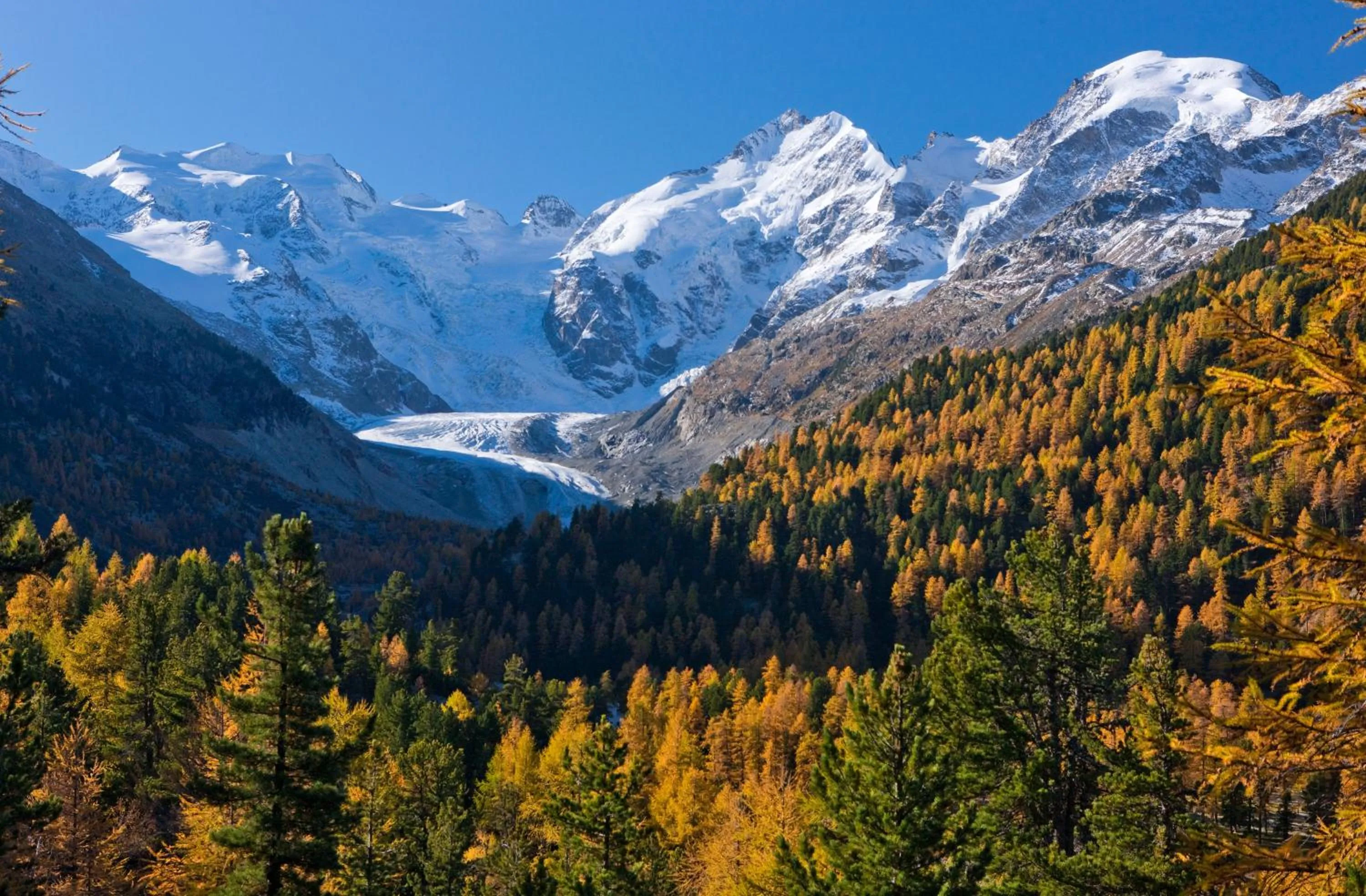 Natural landscape in Hotel Chesa Surlej