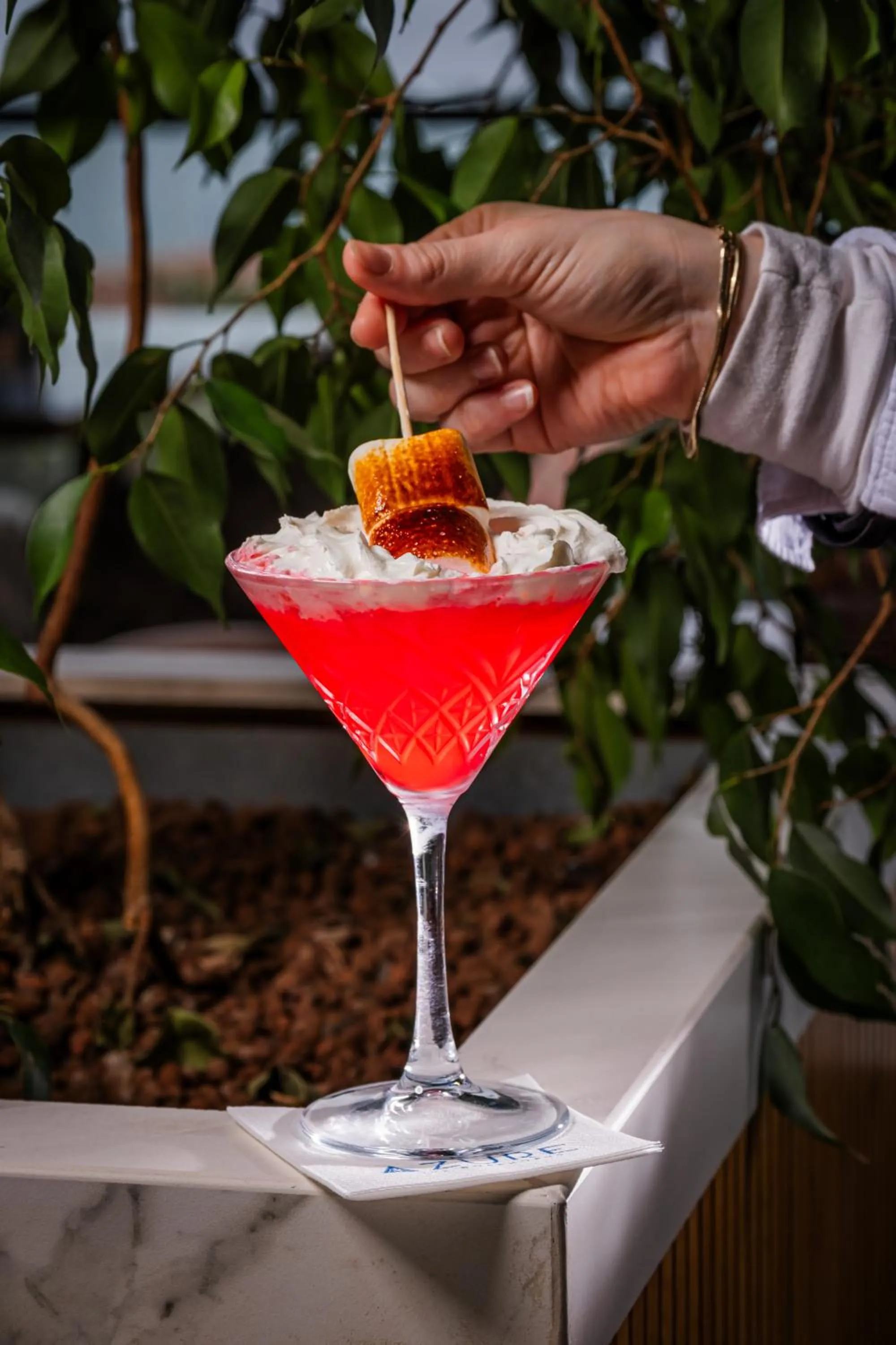 Food and drinks in Metropolitan Hotels Bosphorus - Special Category