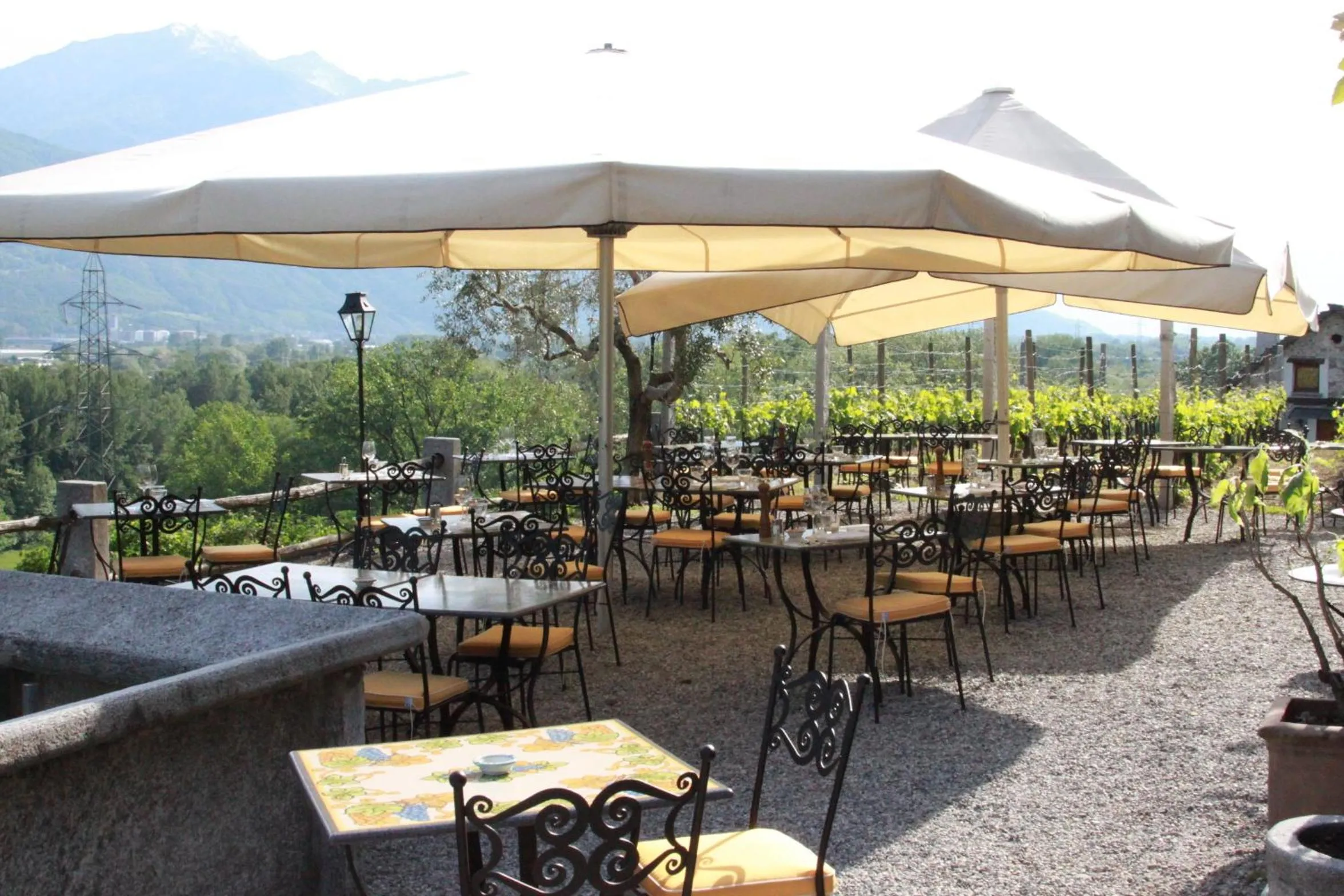 Restaurant/places to eat in Fattoria l'Amorosa