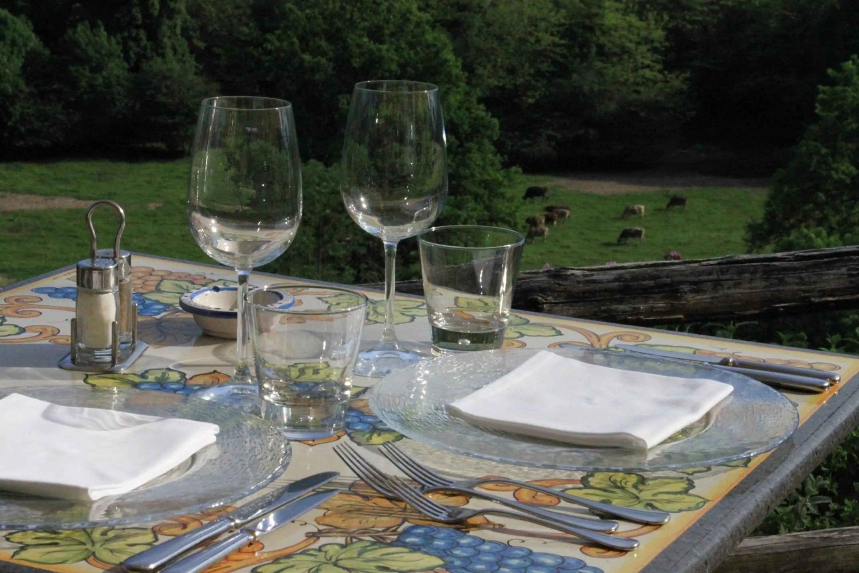 Other in Fattoria l'Amorosa