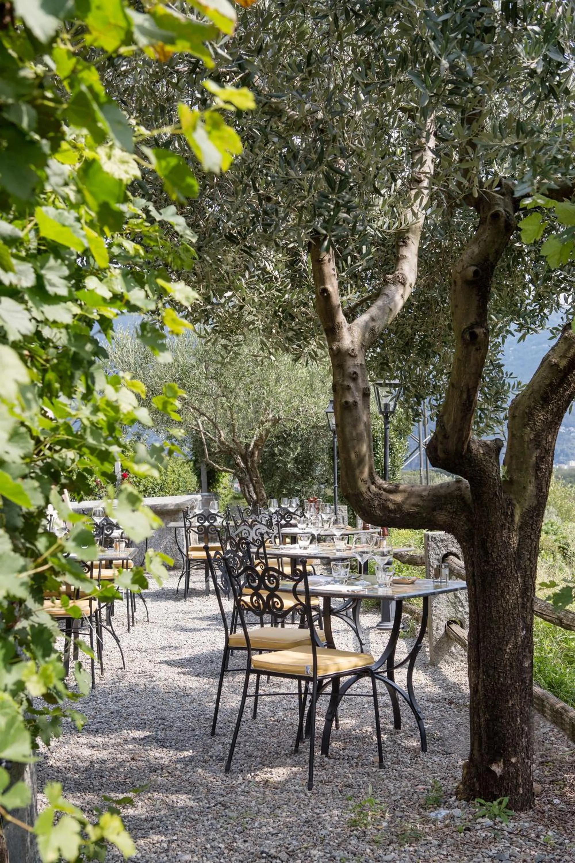 Restaurant/places to eat in Fattoria l'Amorosa