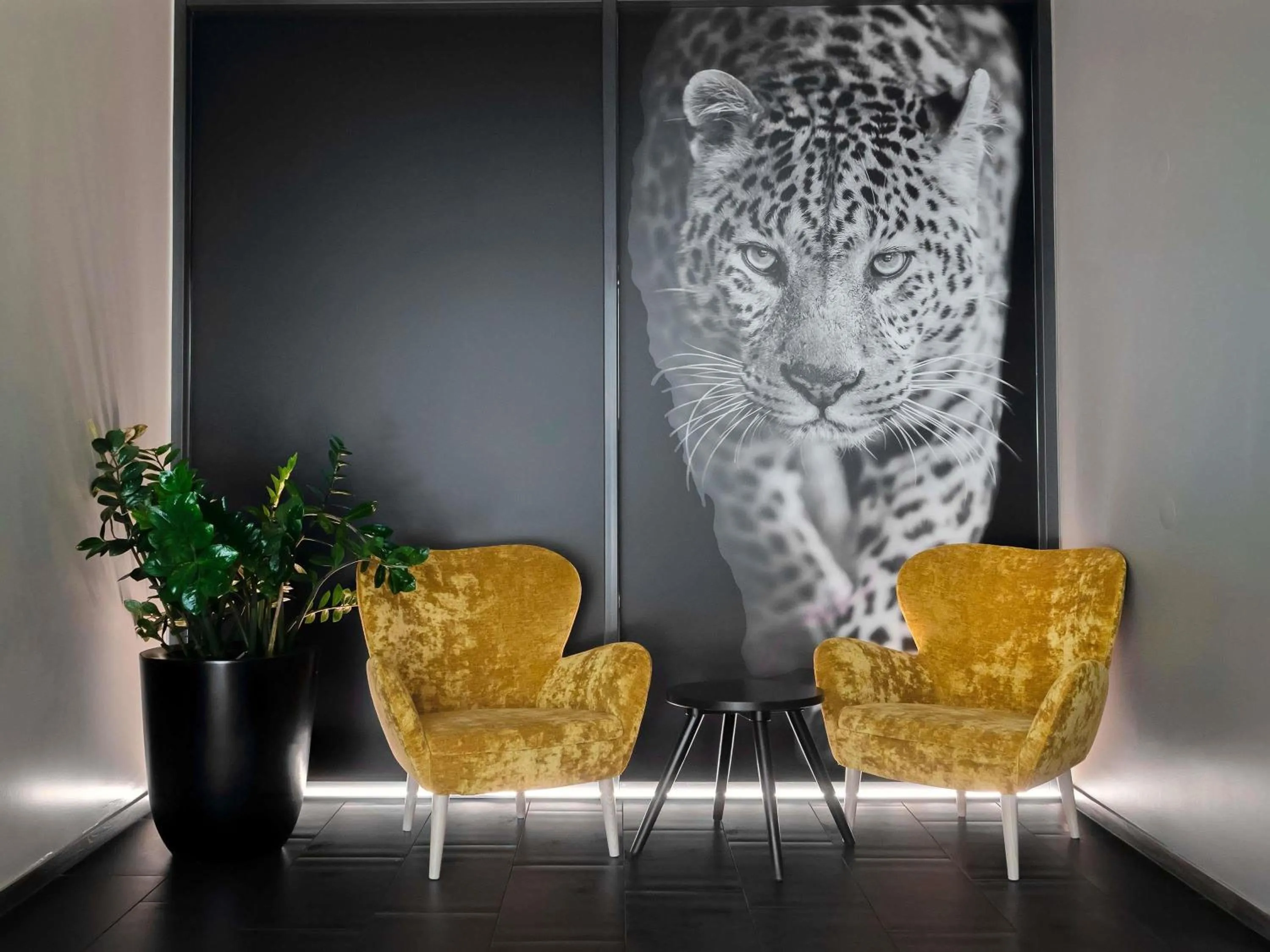 Property building in ibis Locarno