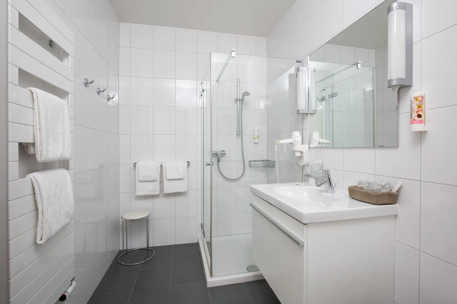 Shower in ibis Locarno