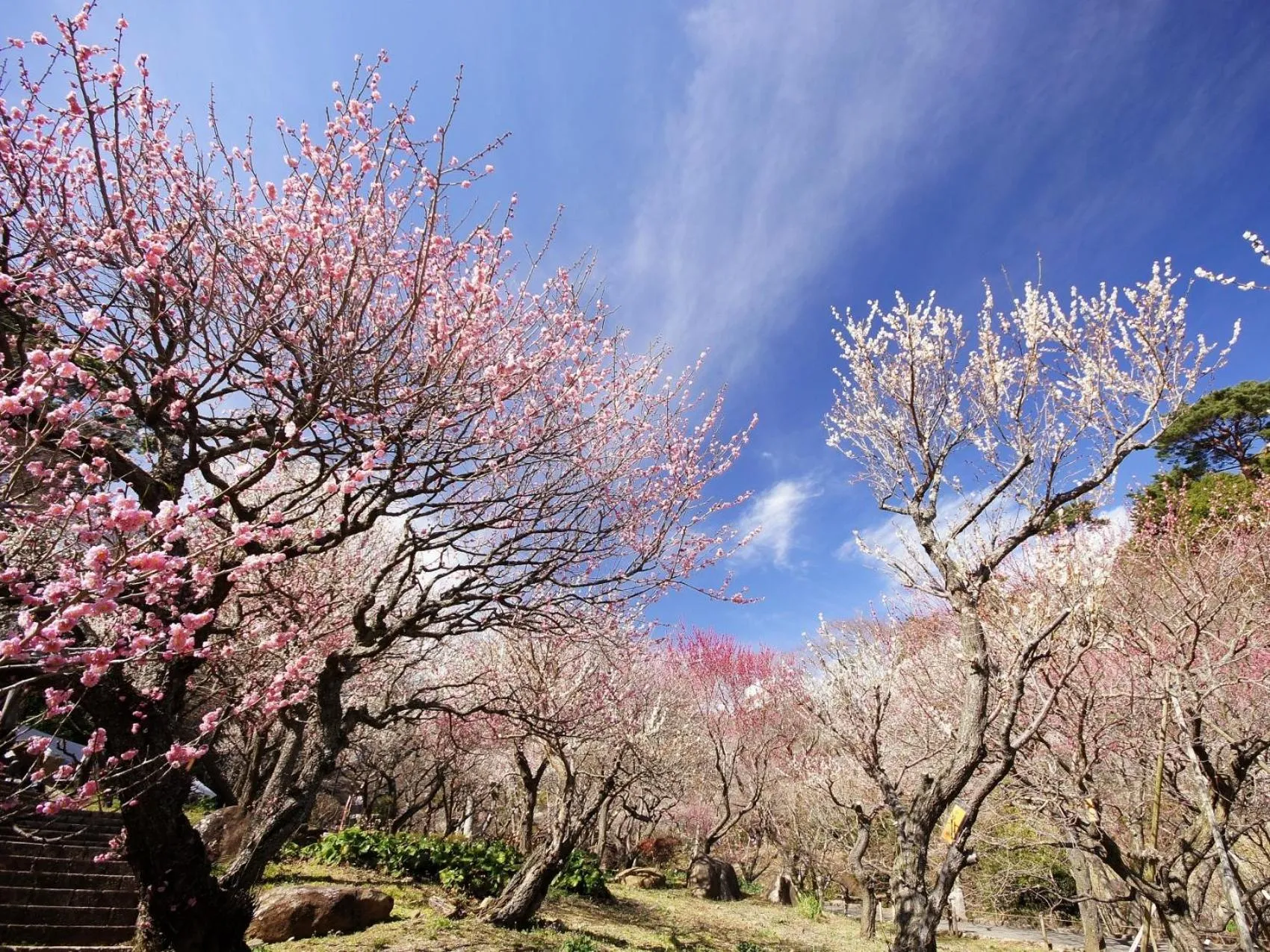 Nearby landmark in Atami Tensui