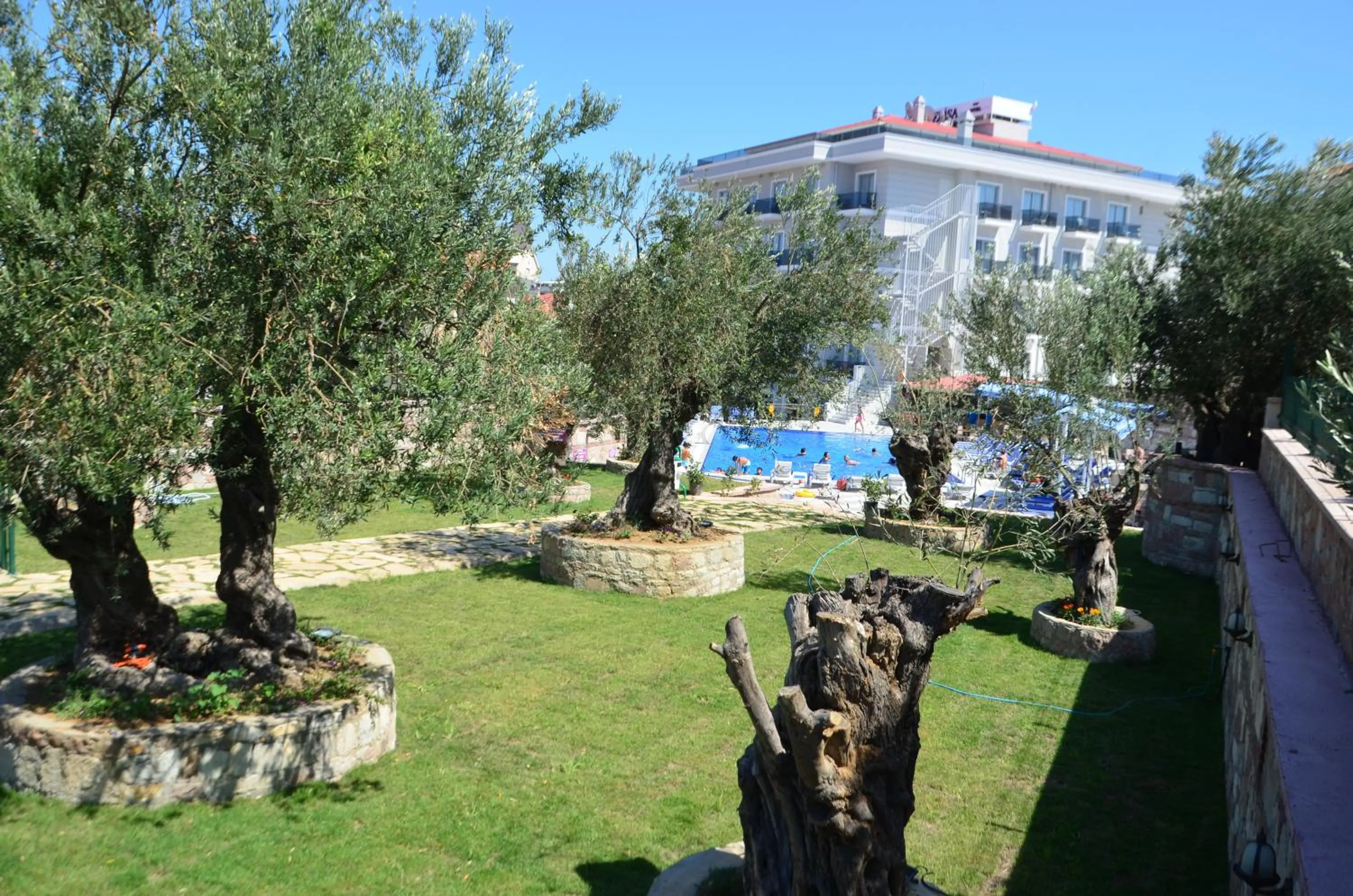 Swimming pool in Elisa Hotel