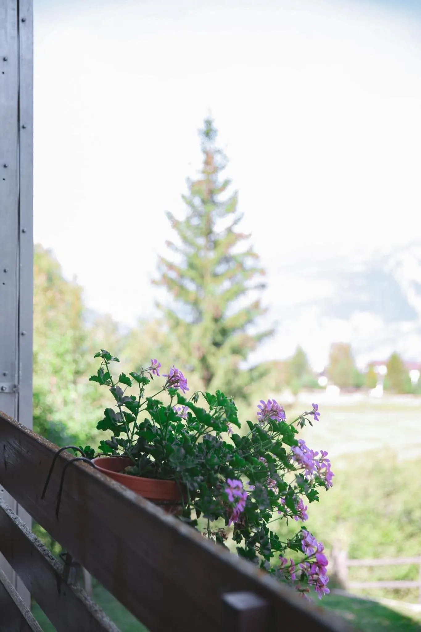 Balcony/Terrace in Hotel Restaurant Bürchnerhof