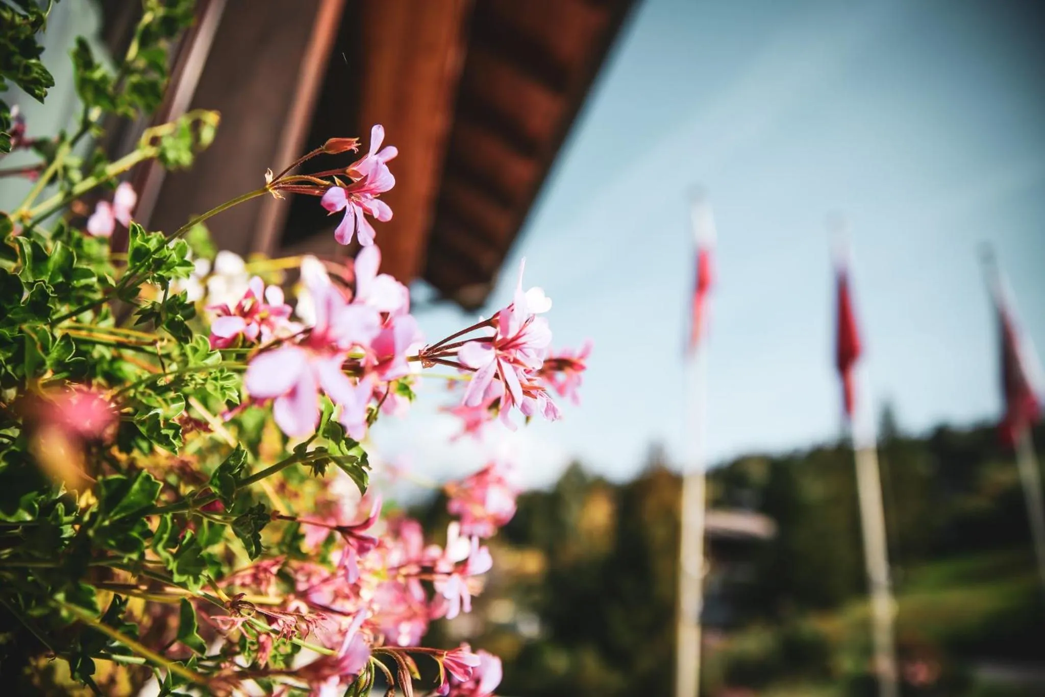 Property building in Hotel Restaurant Bürchnerhof