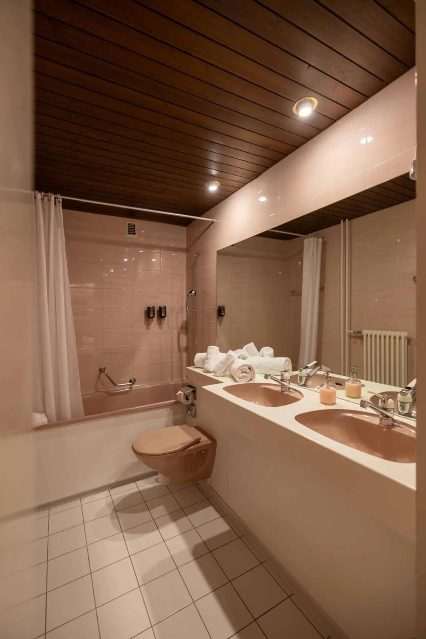 Toilet in Hotel Regina