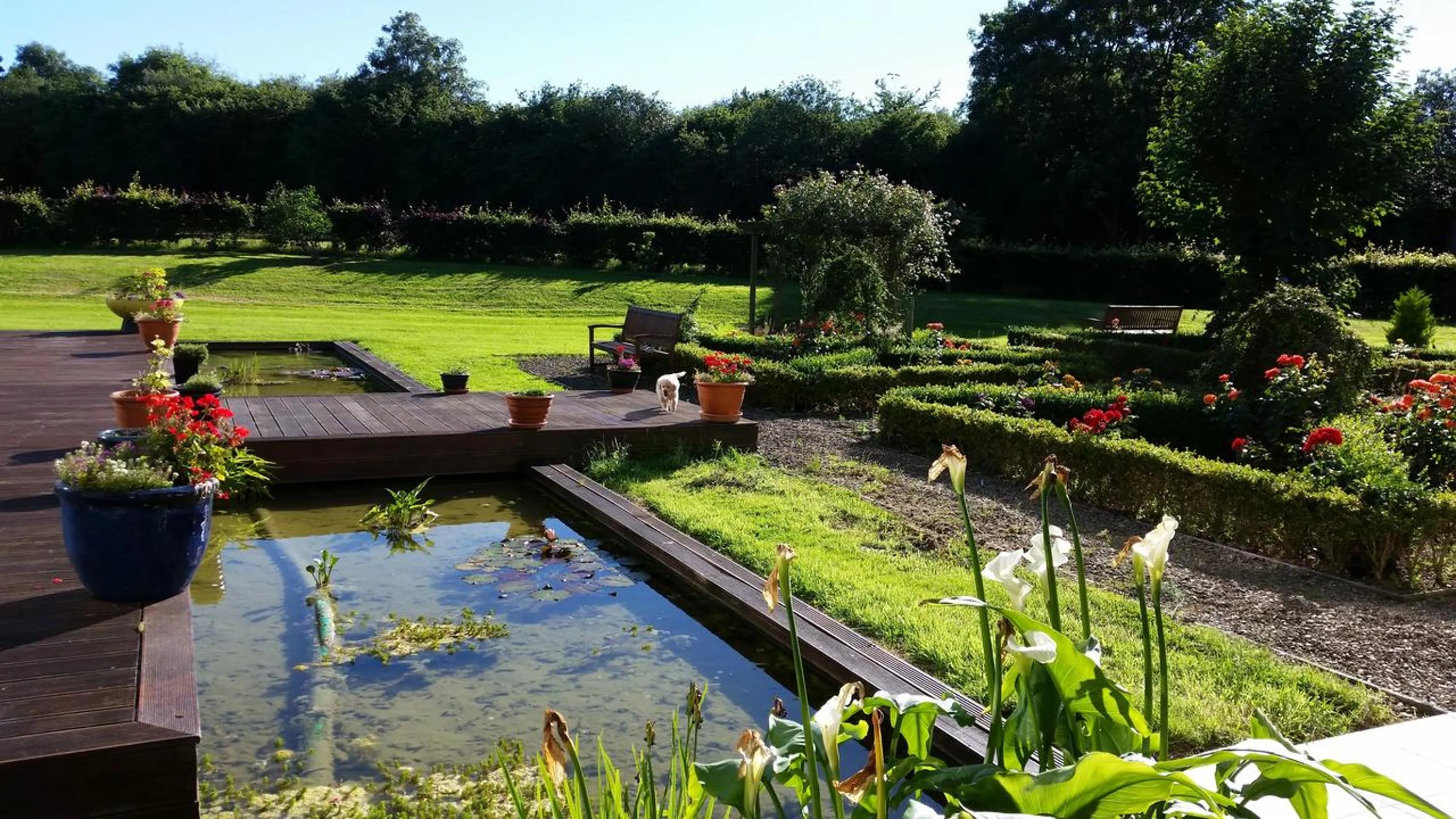 Patio in Hazelwood Country House