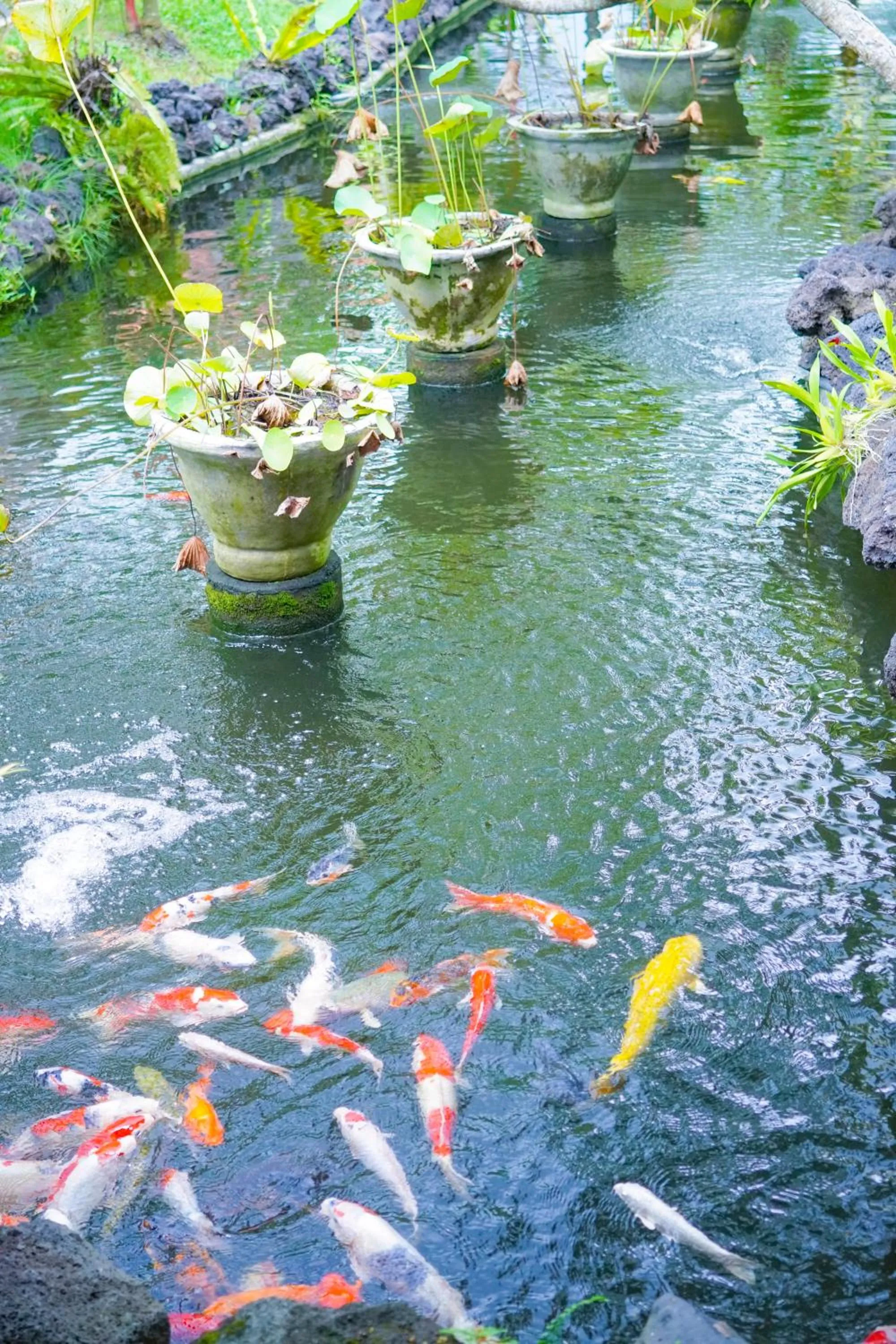 Restaurant/places to eat in Bije Suite Villa Ubud