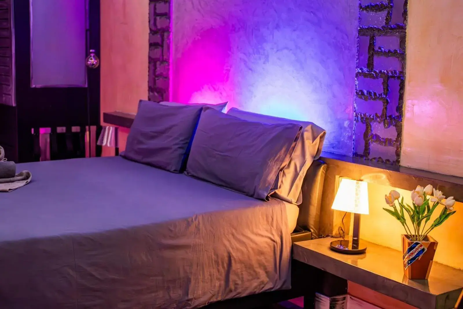 Standard Suite - single occupancy in Ocean Suites Standard Suite - single occupancy in Ocean Suites