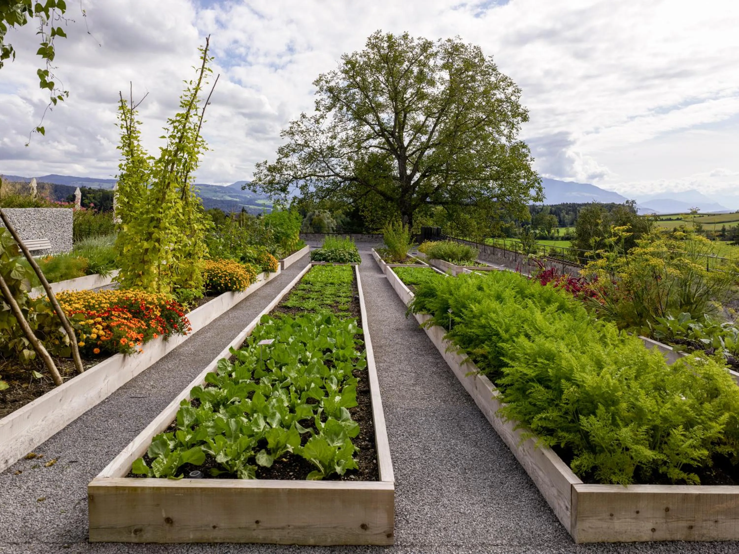 Garden in Kloster Kappel