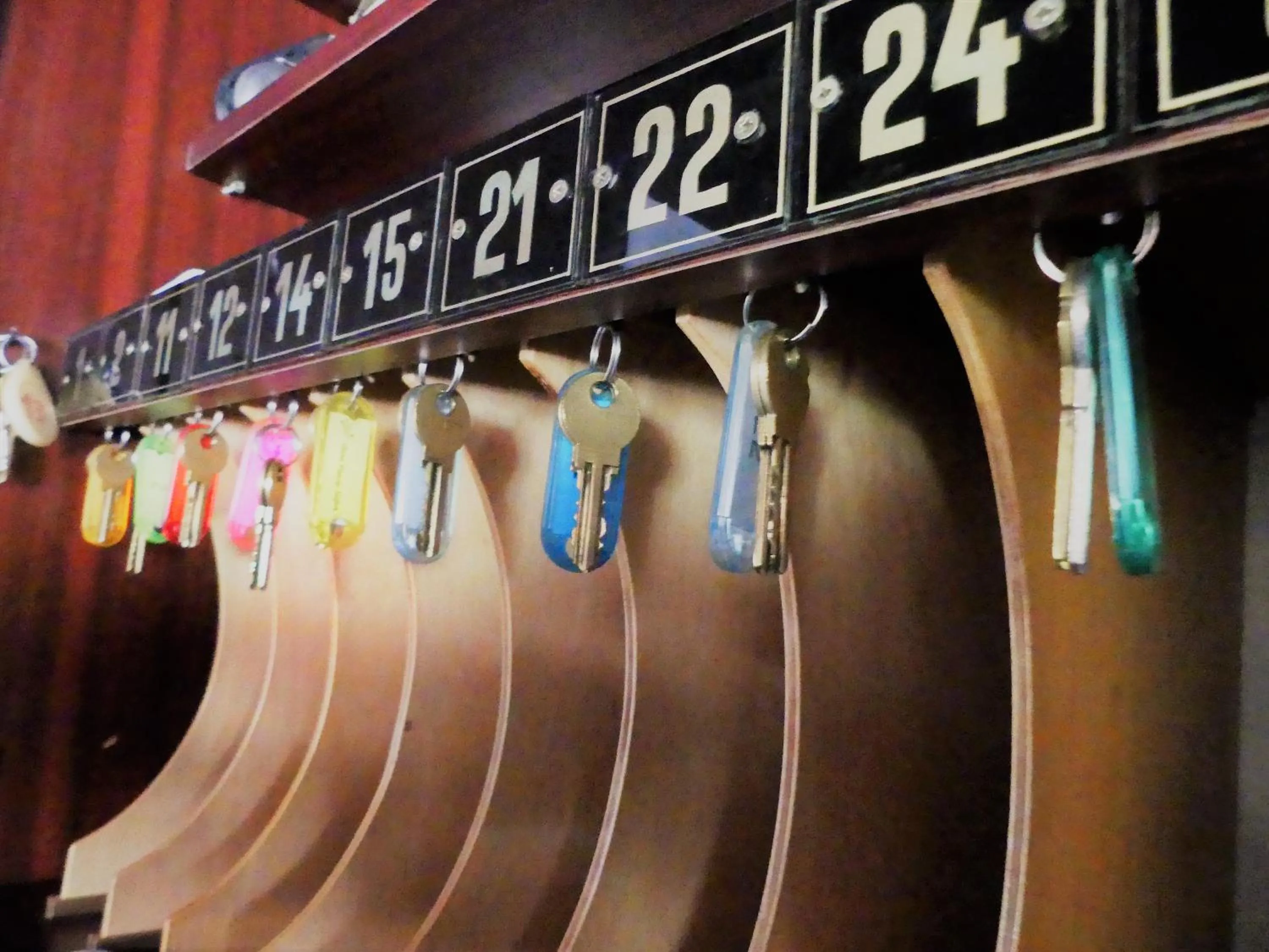 Area and facilities in Anna Panzió & Wellness Siófok