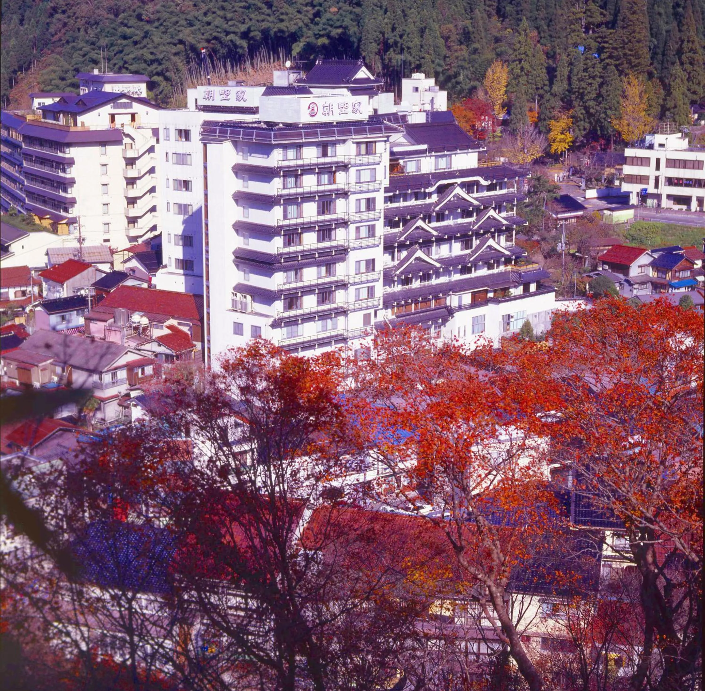 Bird's eye view in Asanoya