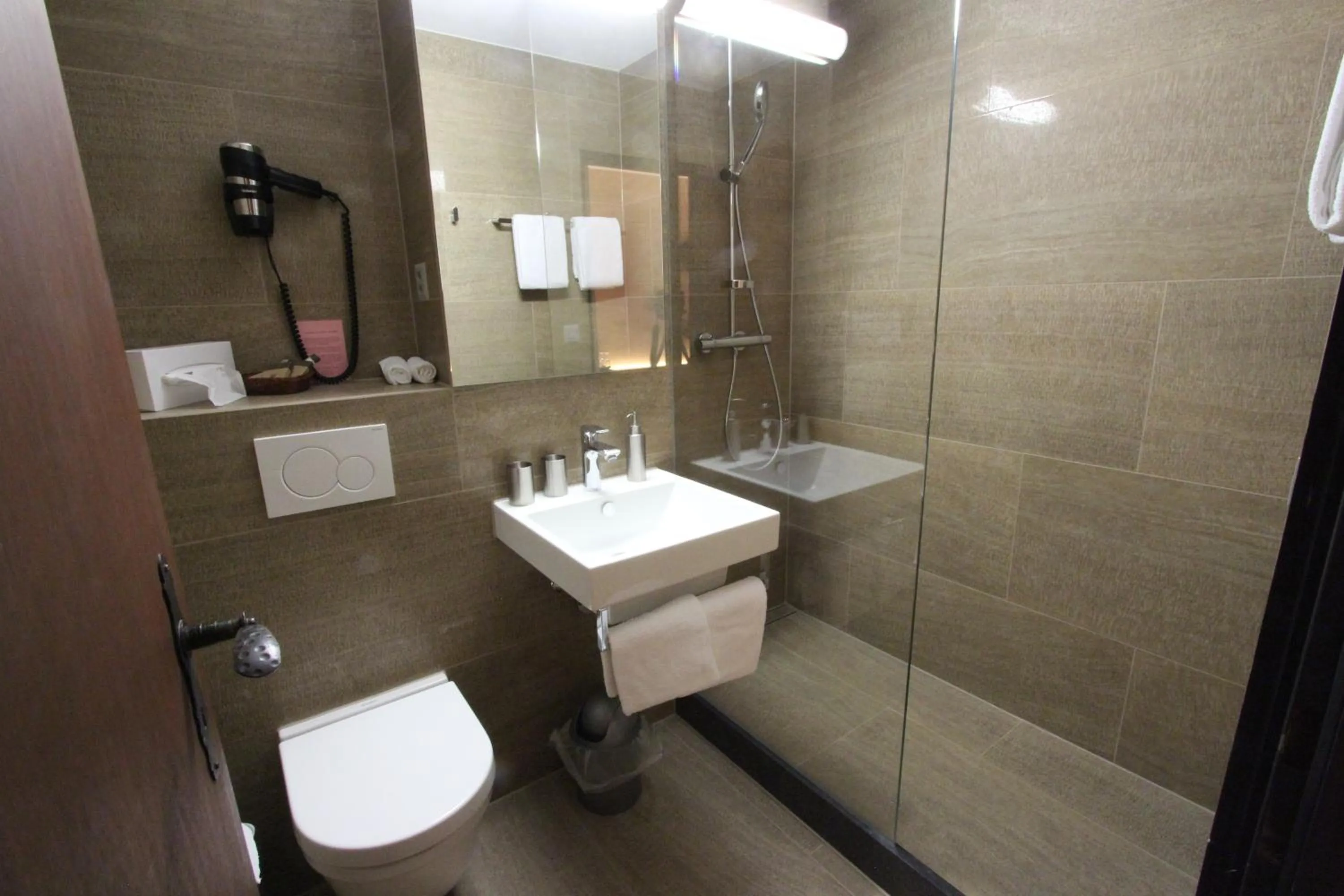 Bathroom in Hotel des Alpes