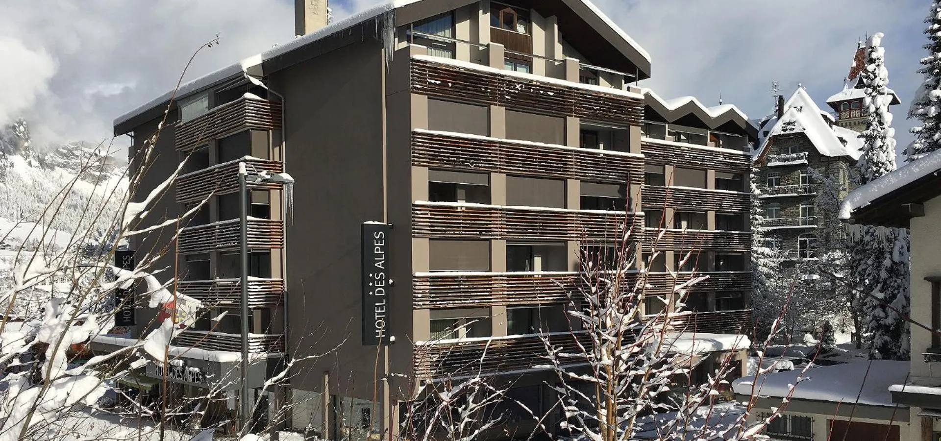 Property building in Hotel des Alpes