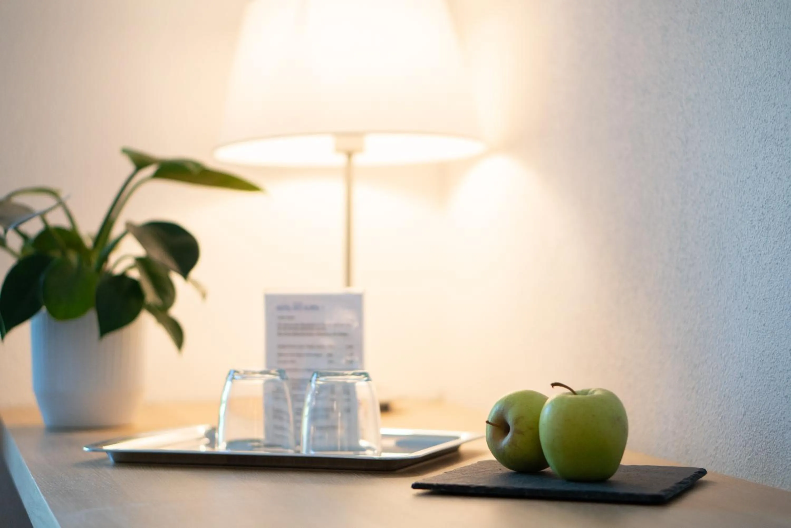 Photo of the whole room in Hotel des Alpes