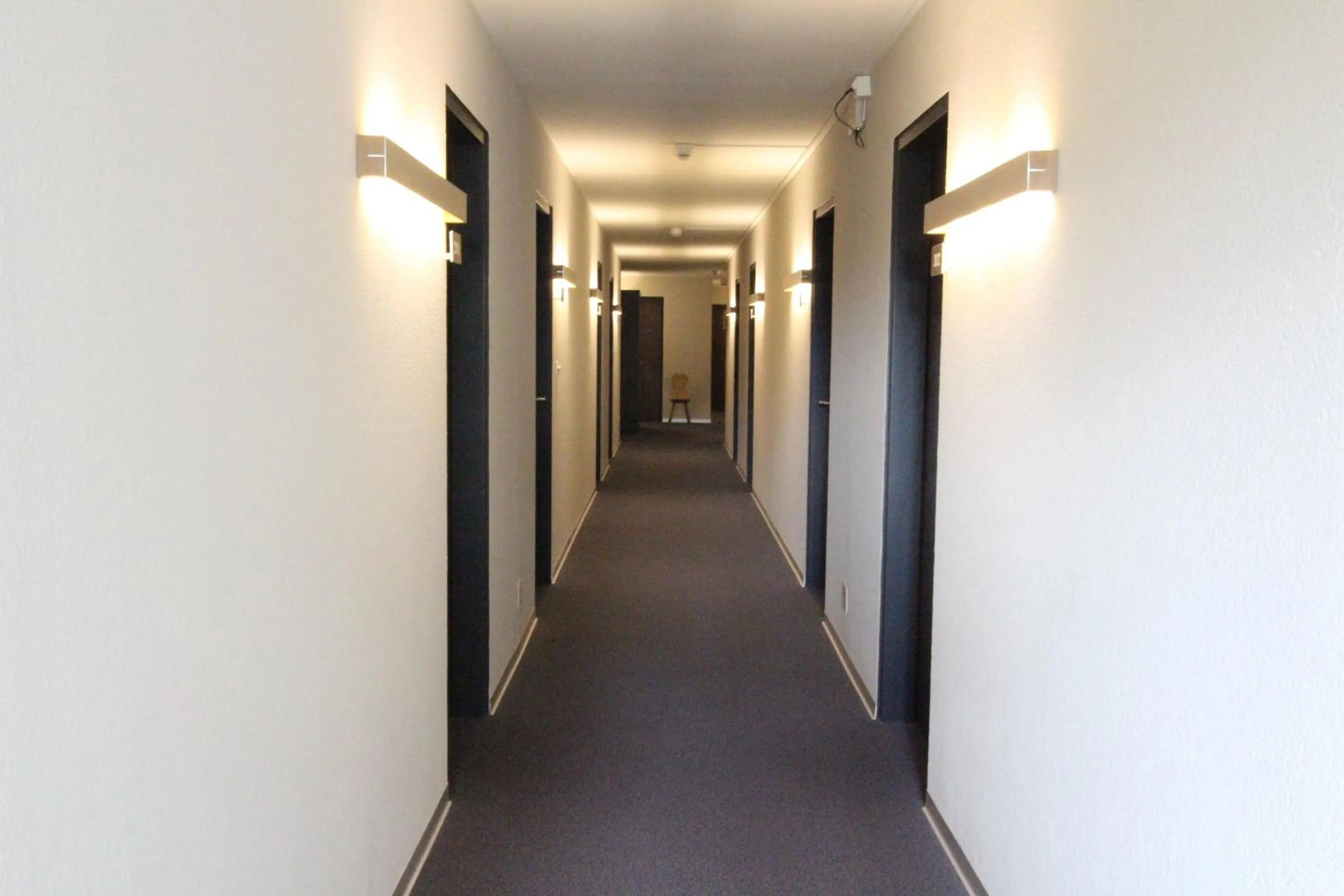 Other in Hotel des Alpes