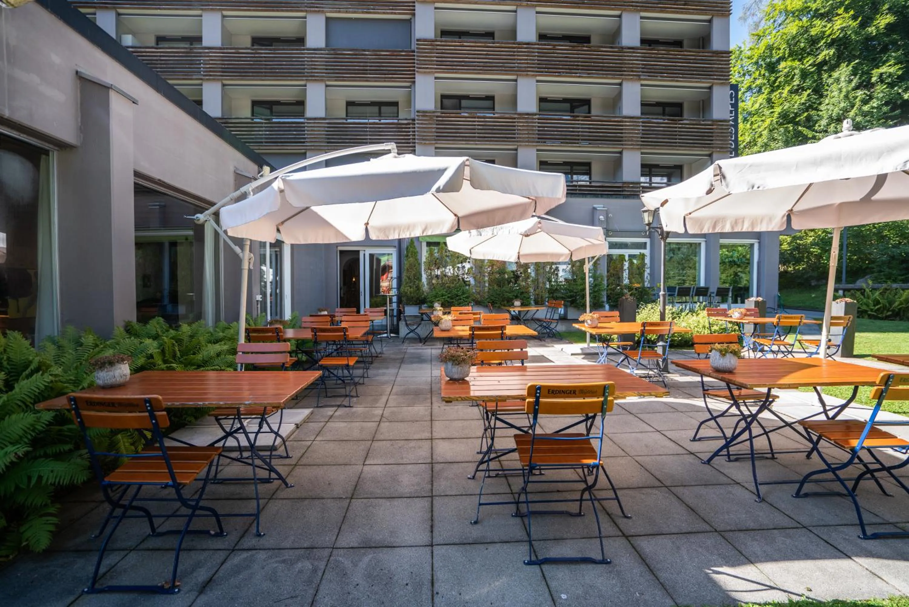 Restaurant/places to eat in Hotel des Alpes