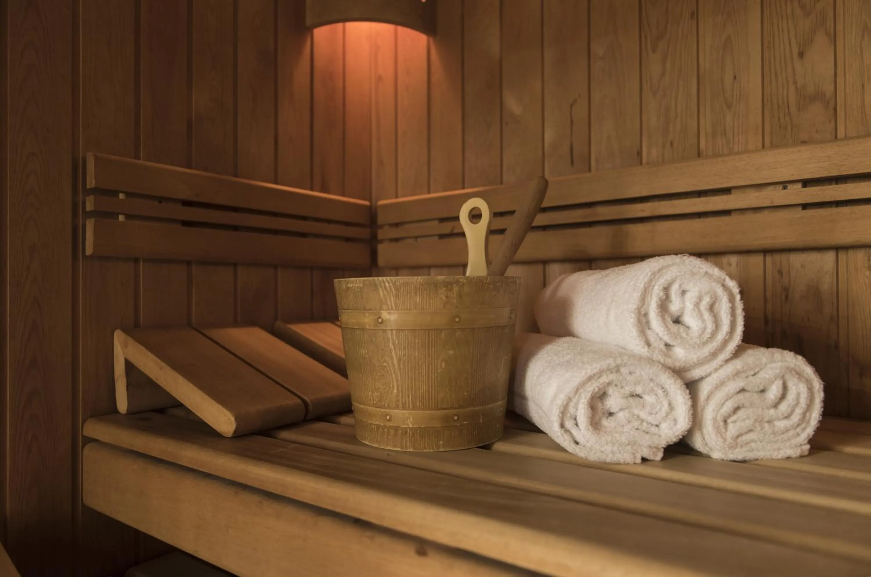 Sauna in Hotel des Alpes