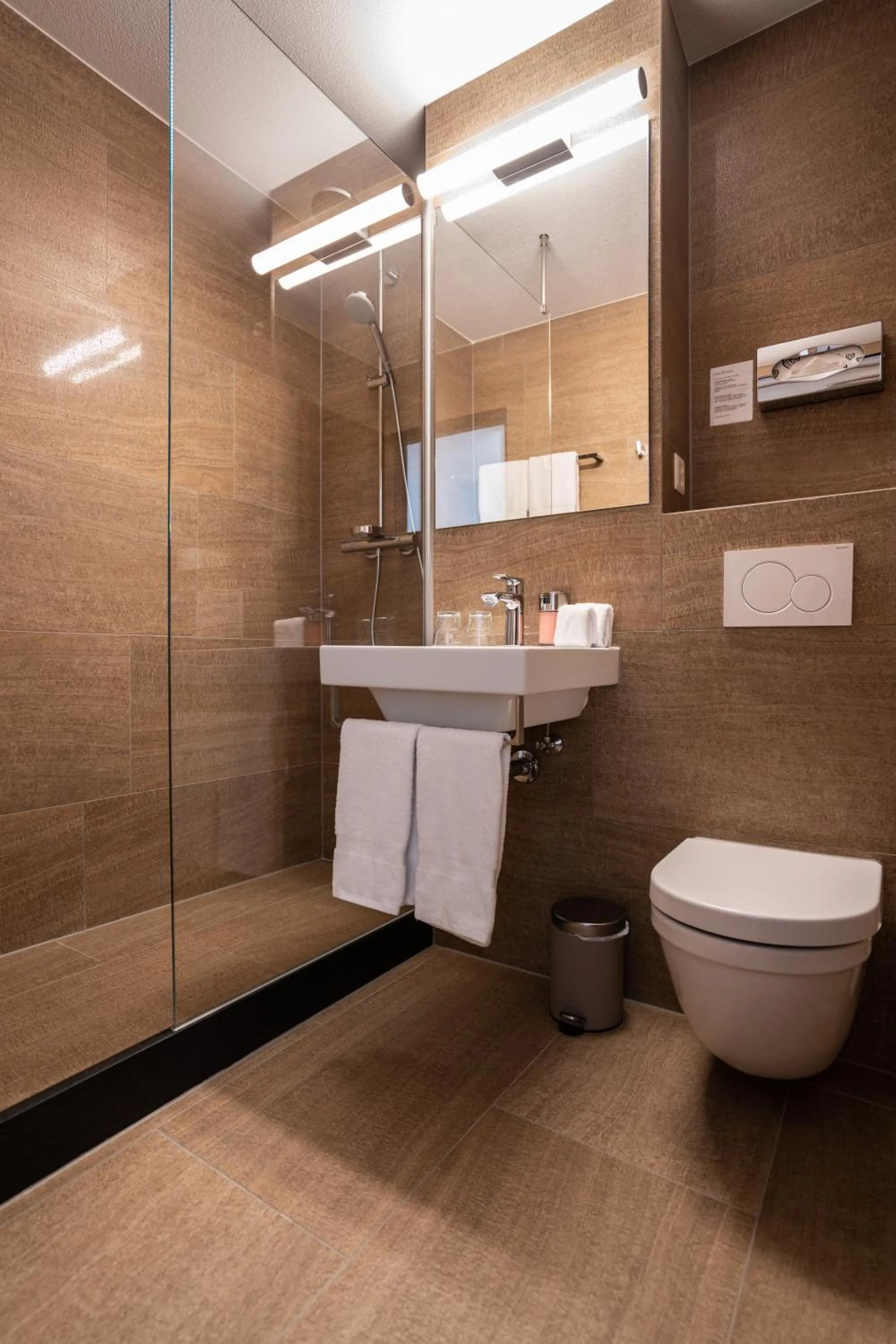 Bathroom in Hotel des Alpes