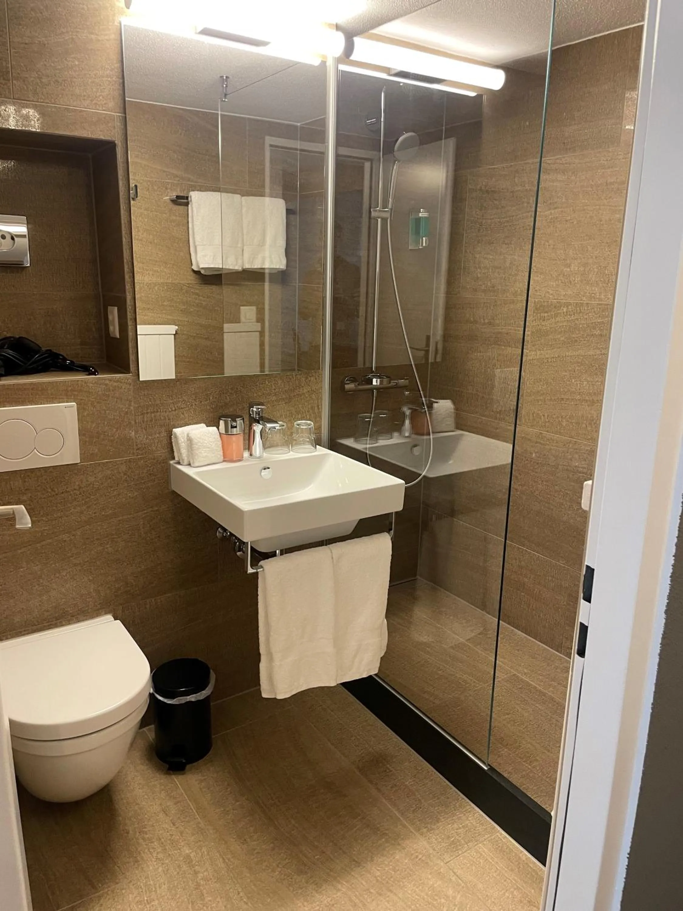 Bathroom in Hotel des Alpes