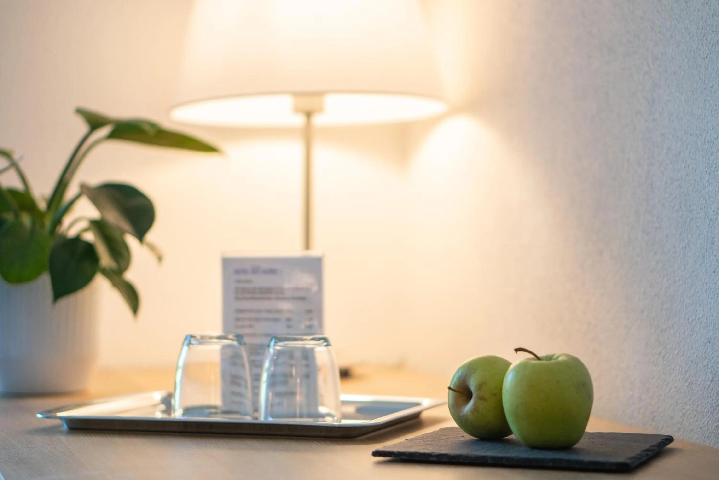 Photo of the whole room in Hotel des Alpes