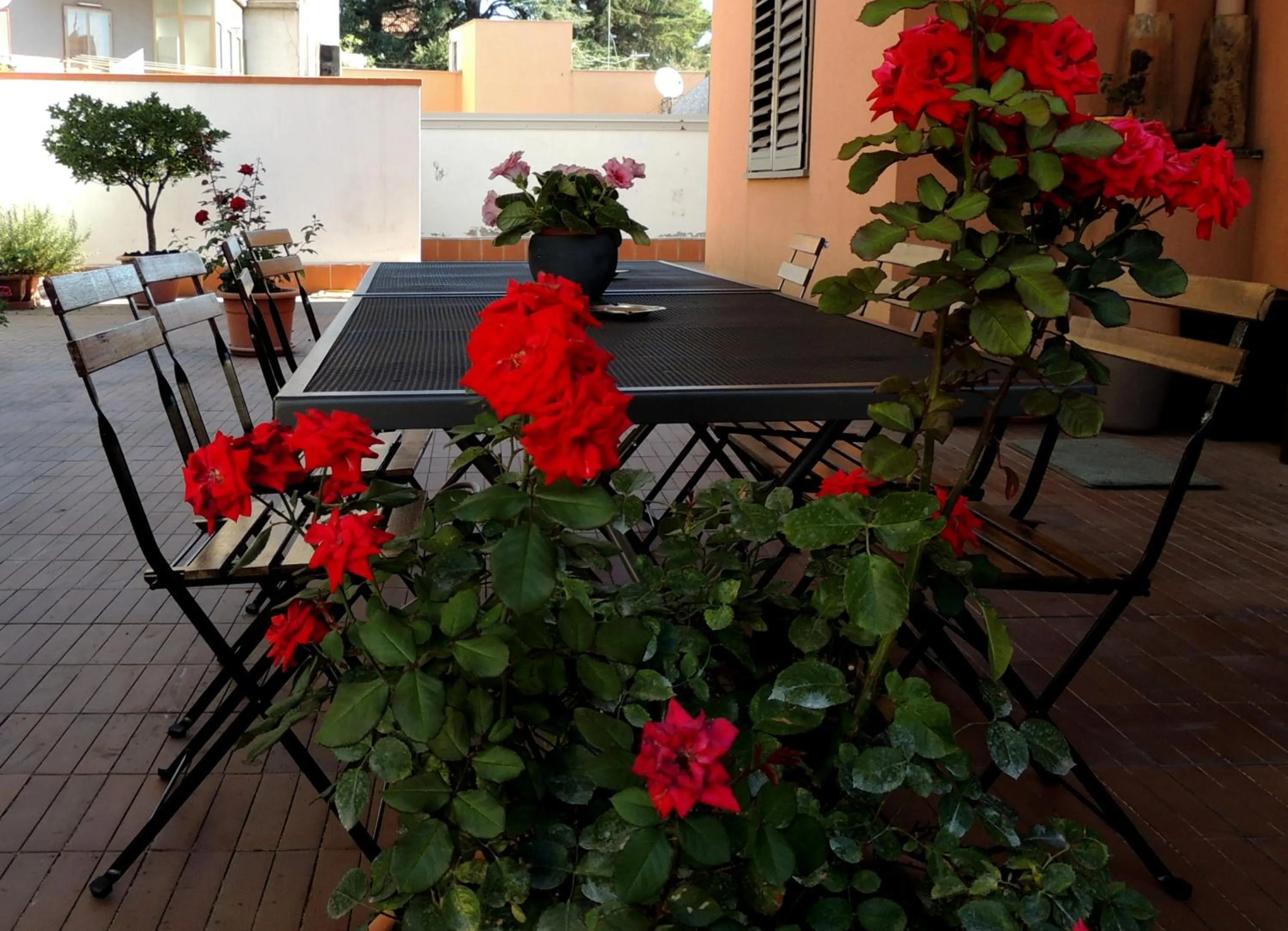 Property building in B&B il rosso e il nero