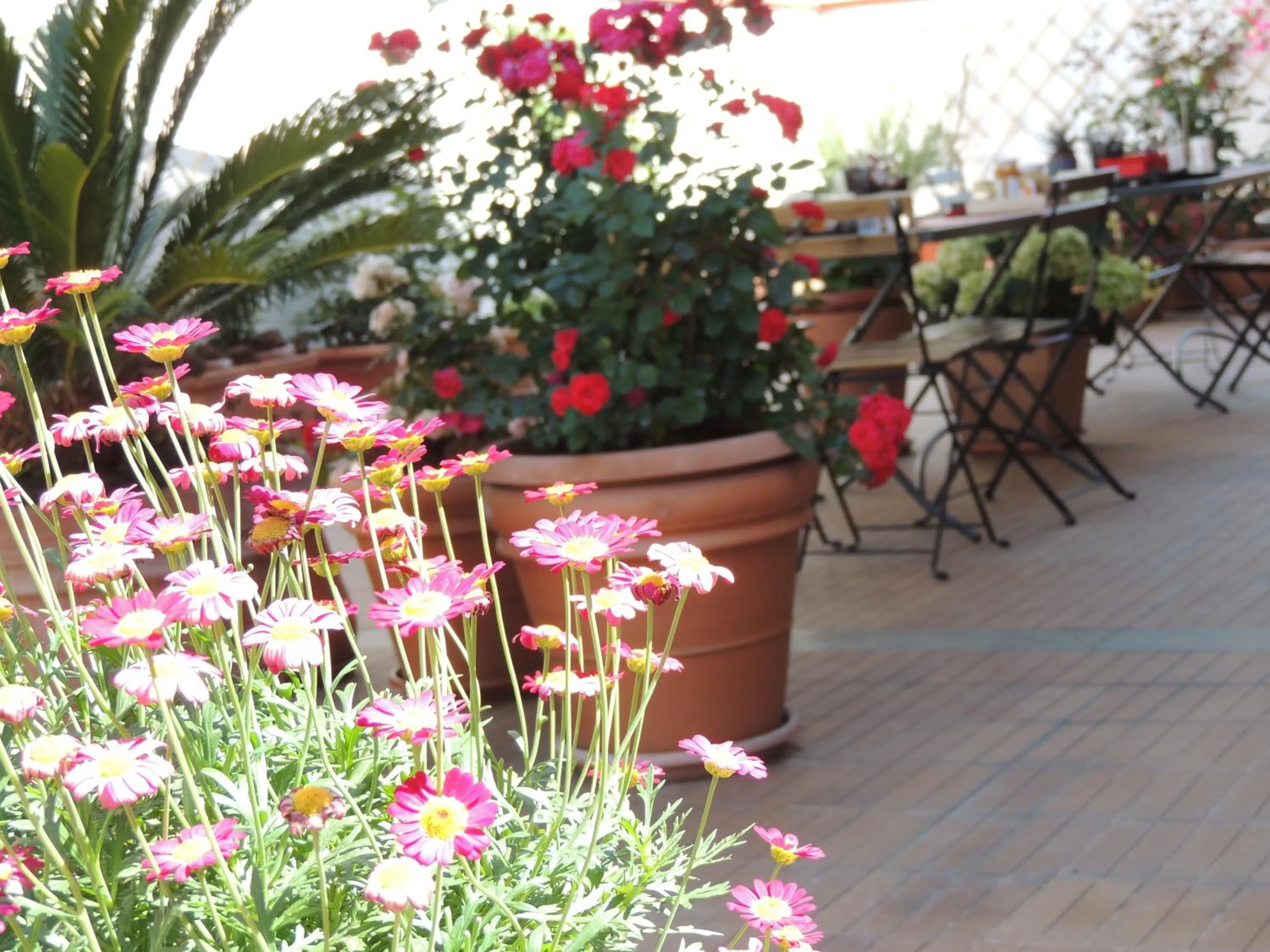 Balcony/Terrace in B&B il rosso e il nero