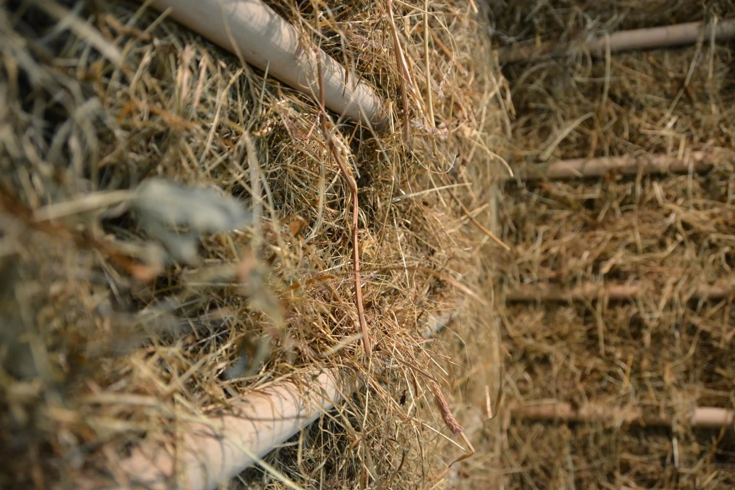 Sauna in Hotel Rovanada Wellness & BergNatur