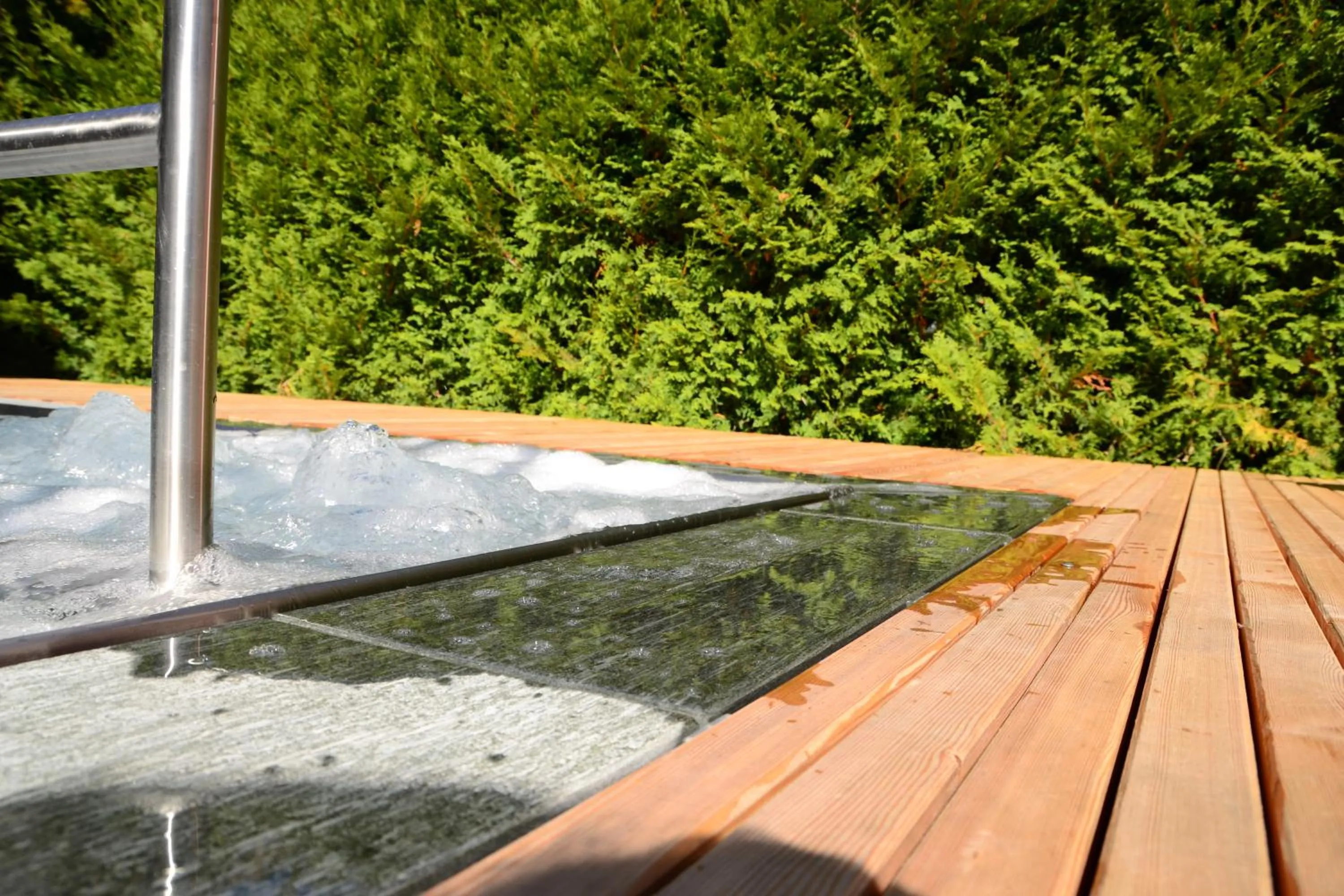 Swimming pool in Hotel Rovanada Wellness & BergNatur