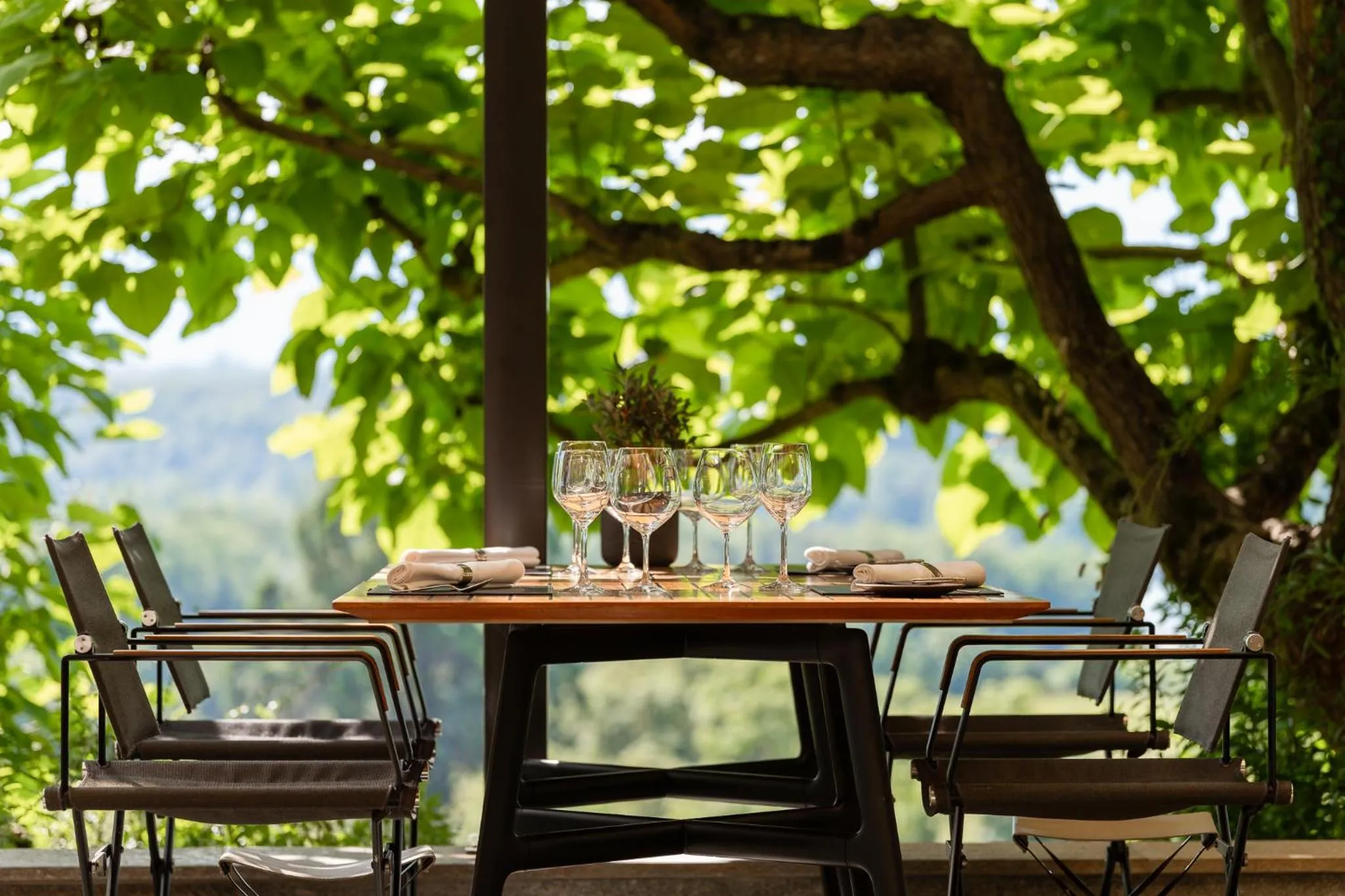 Restaurant/places to eat in Domaine de Châteauvieux