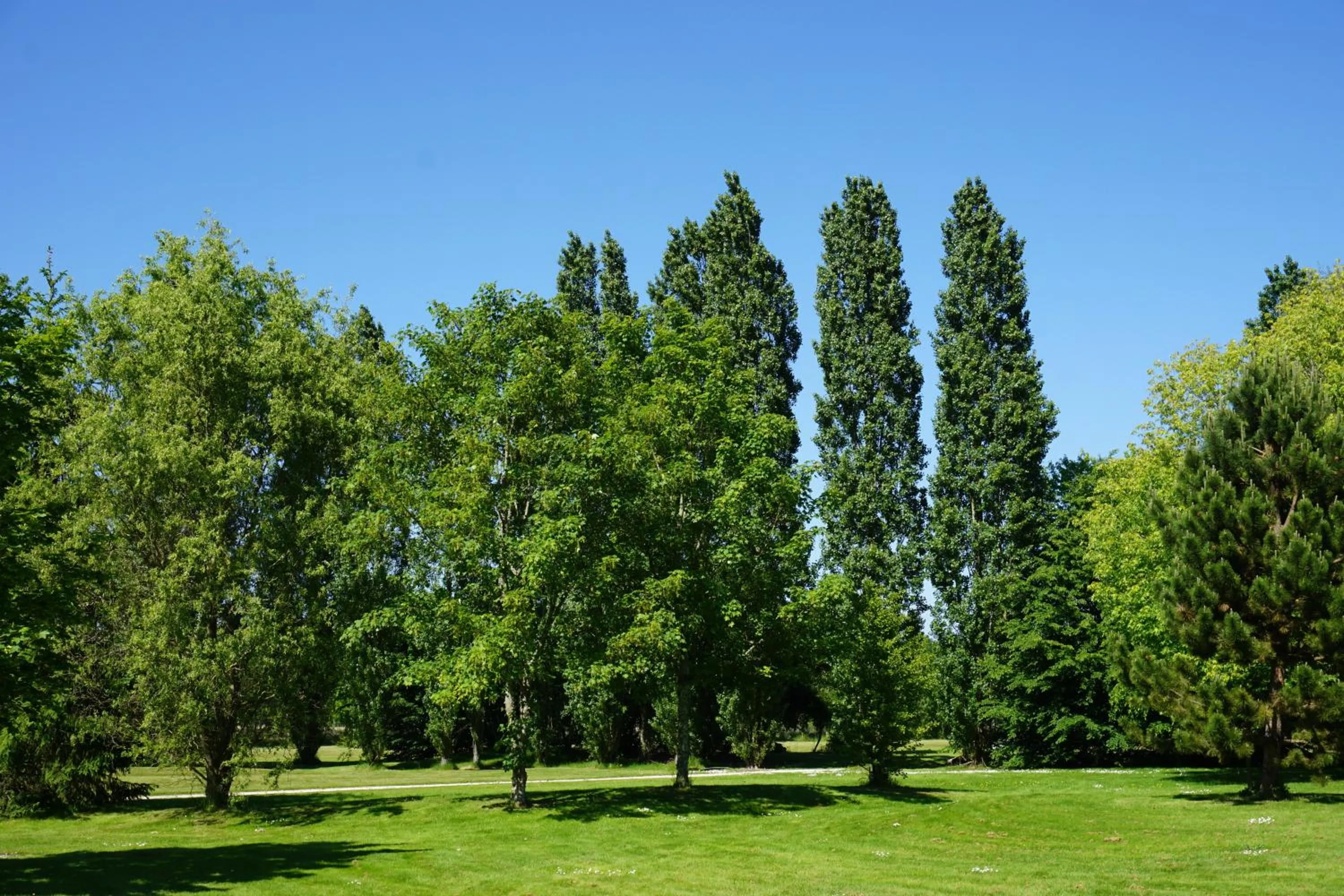 Garden in Domaine de L'Arbrelle