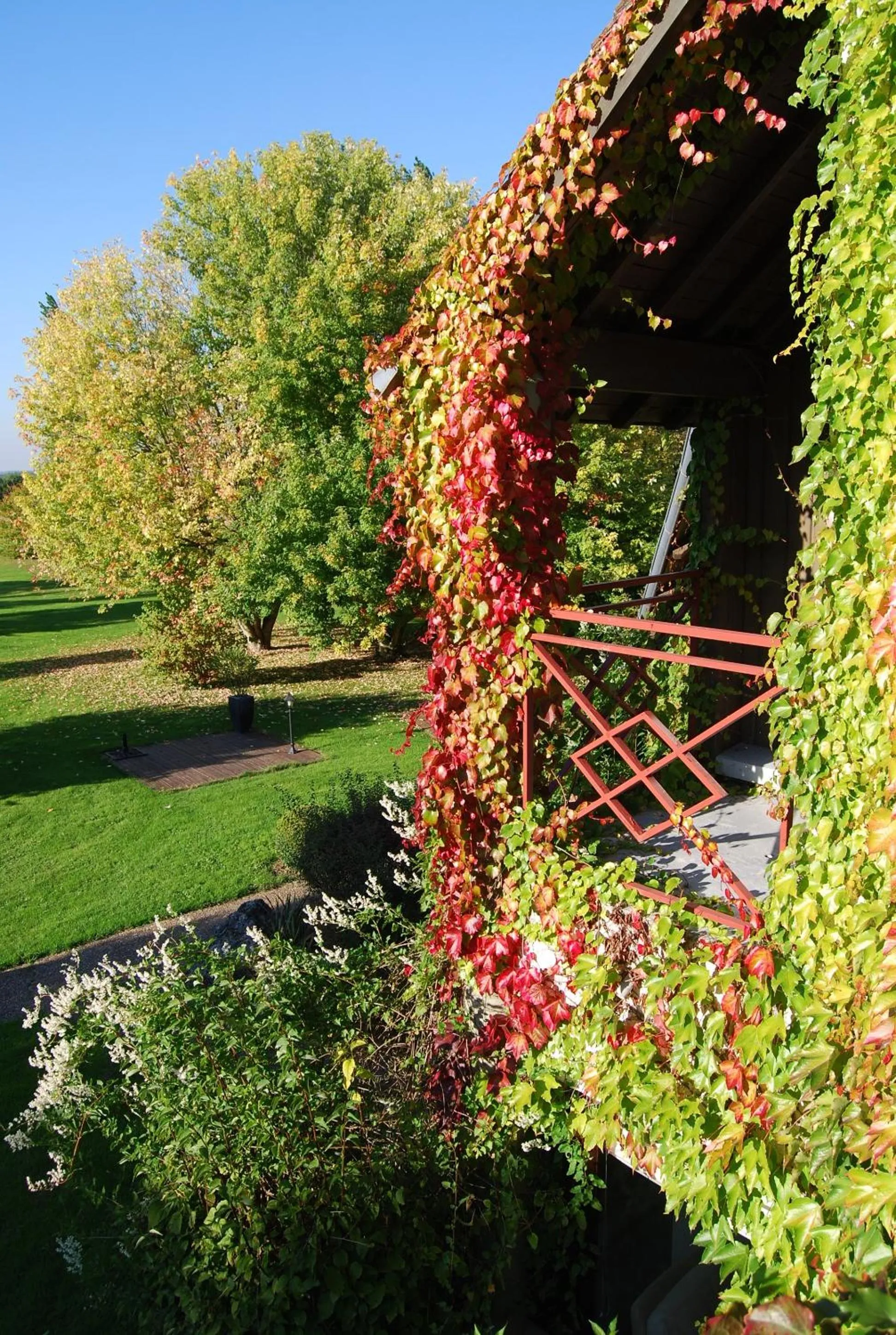 Garden in Domaine de L'Arbrelle