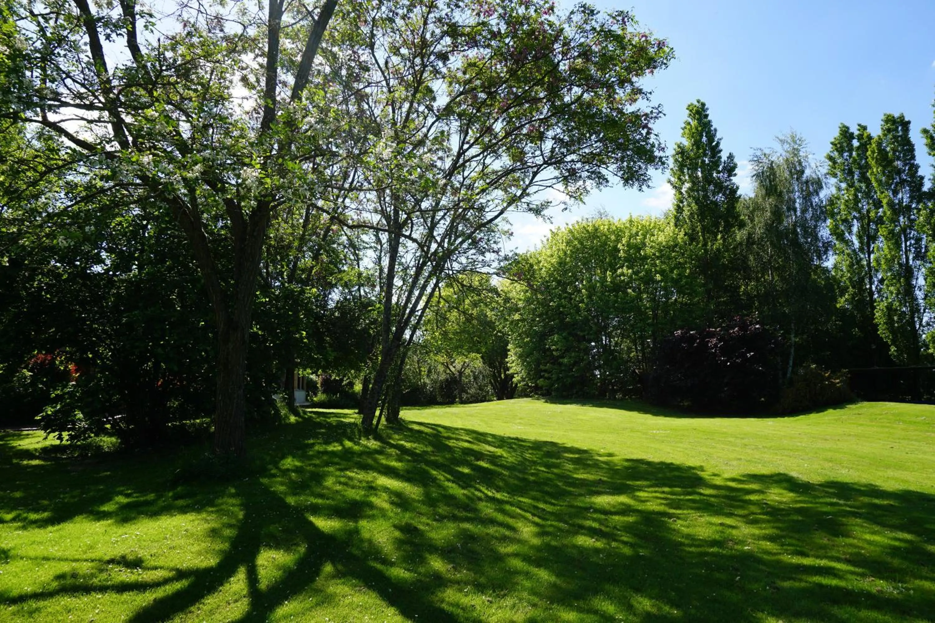 Garden in Domaine de L'Arbrelle